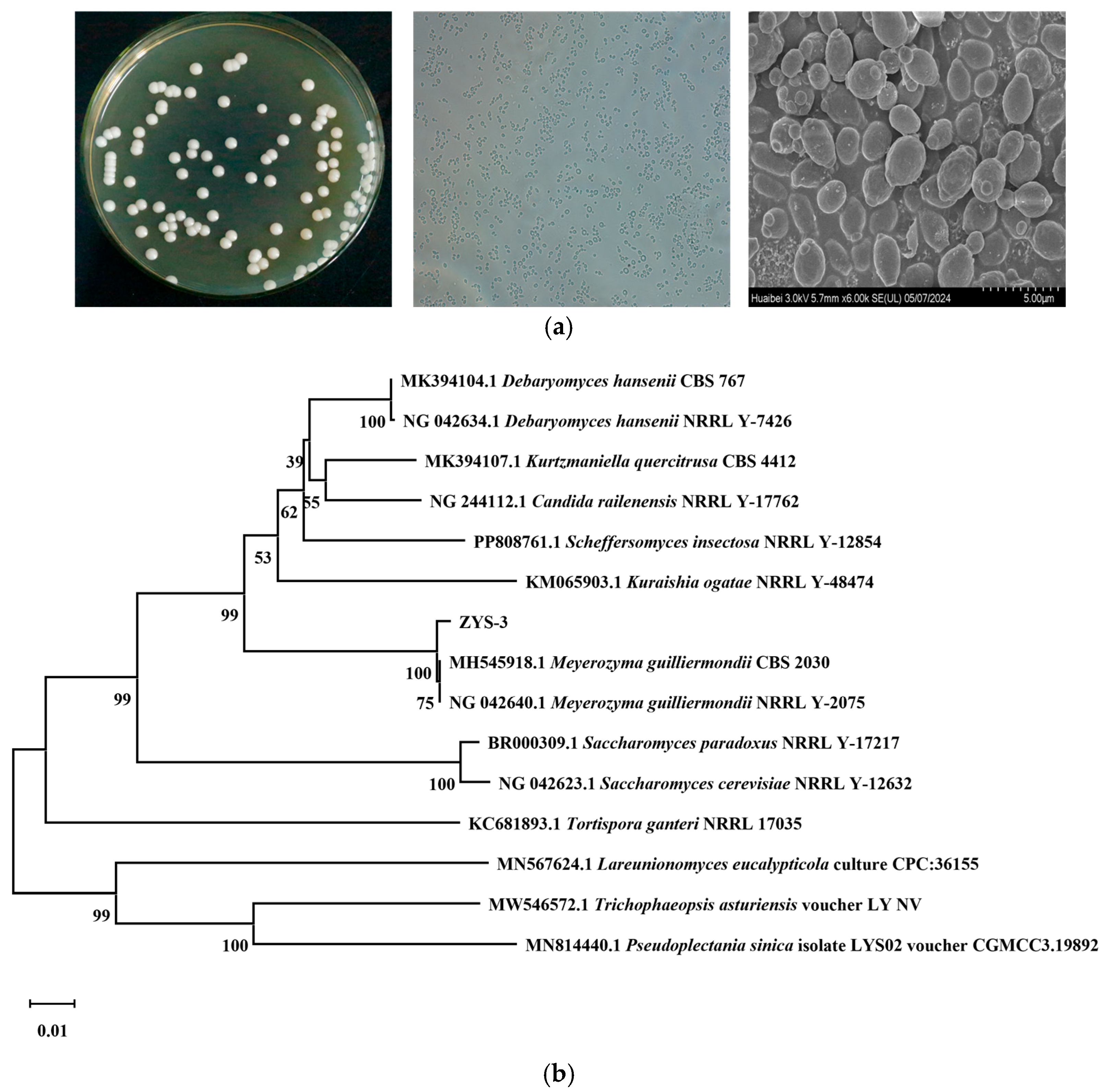 Microorganisms 13 02251 g002