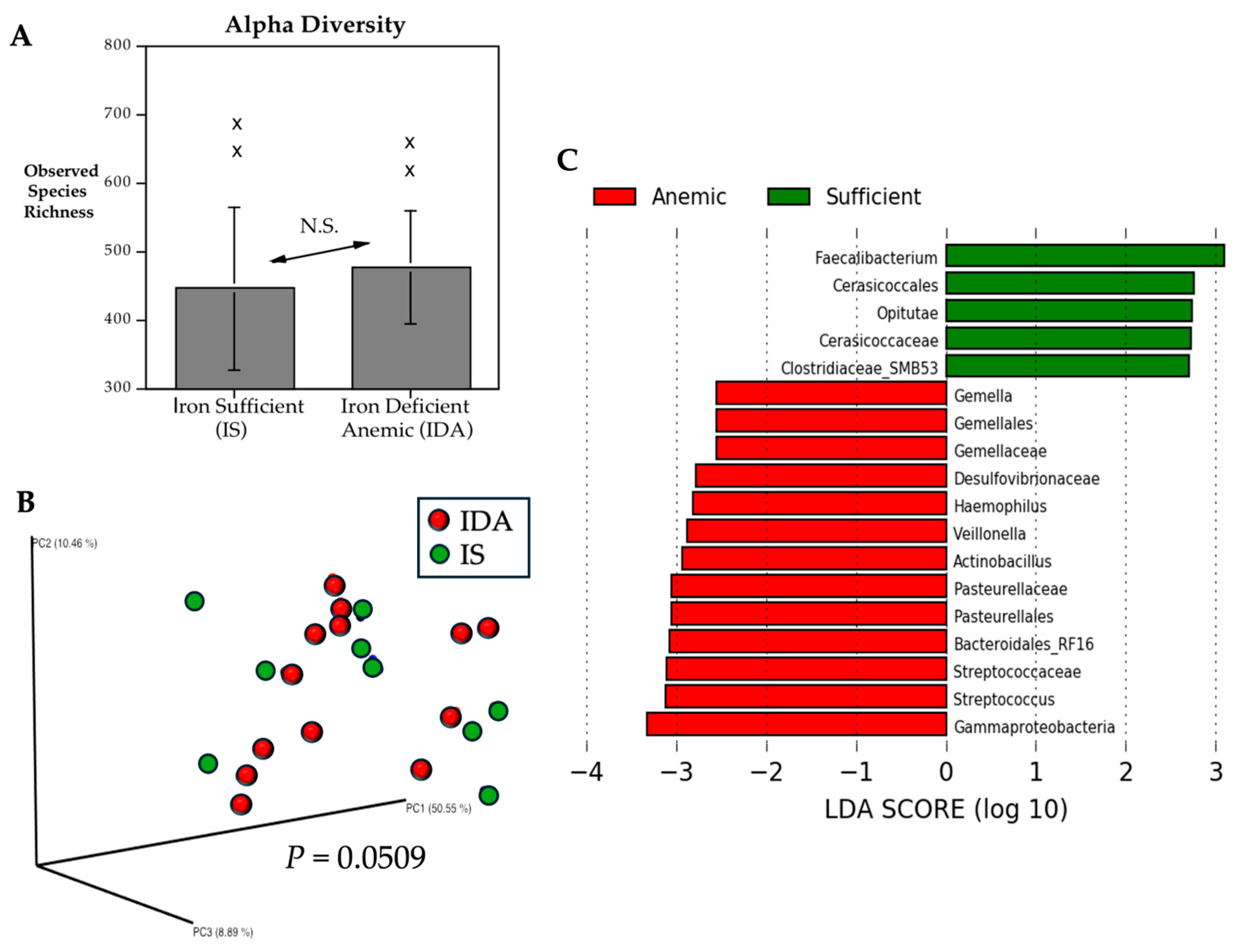 Microorganisms 13 02256 g001