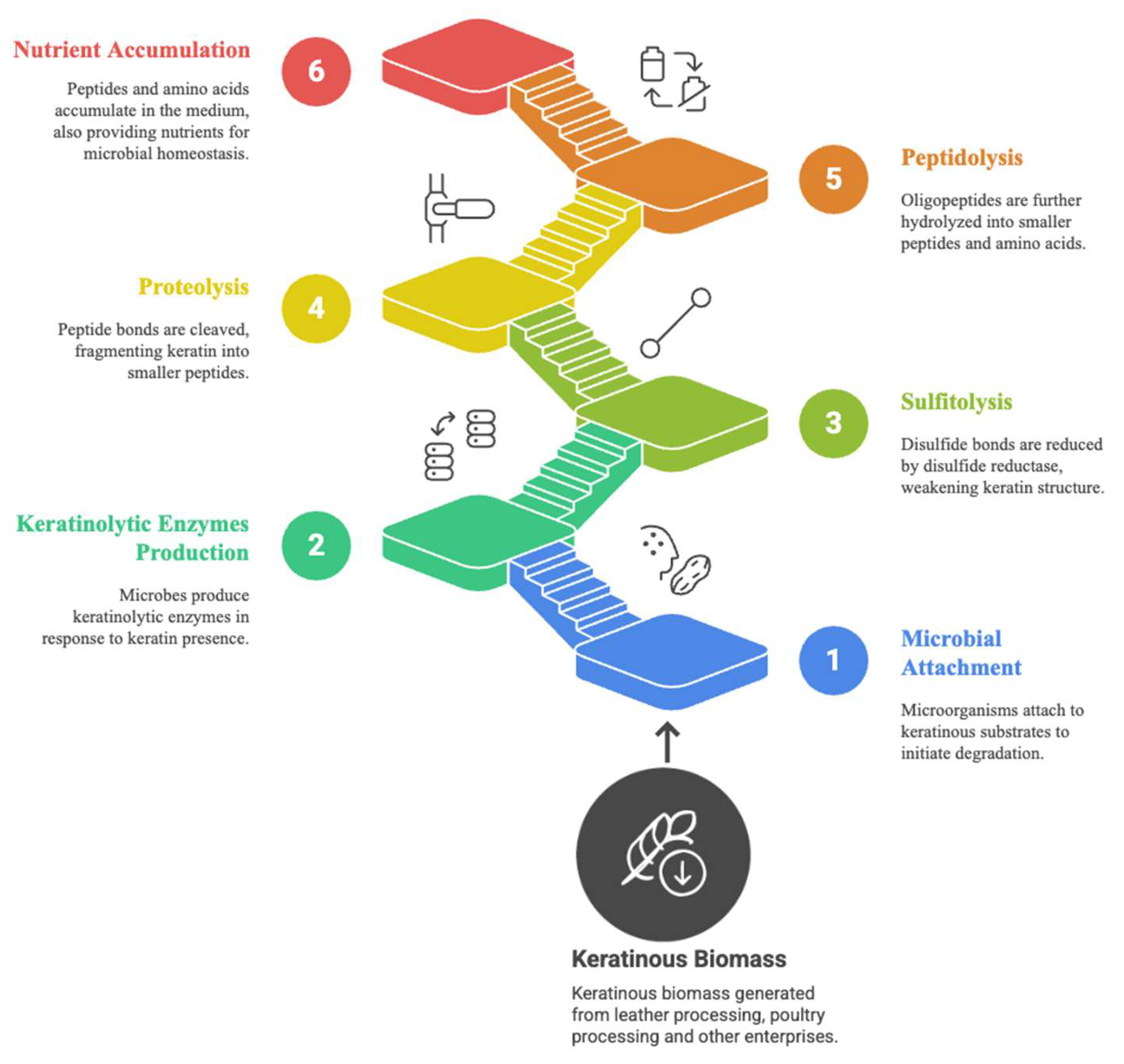 Microorganisms 13 02270 g002 Microorganisms 13 02270 g002