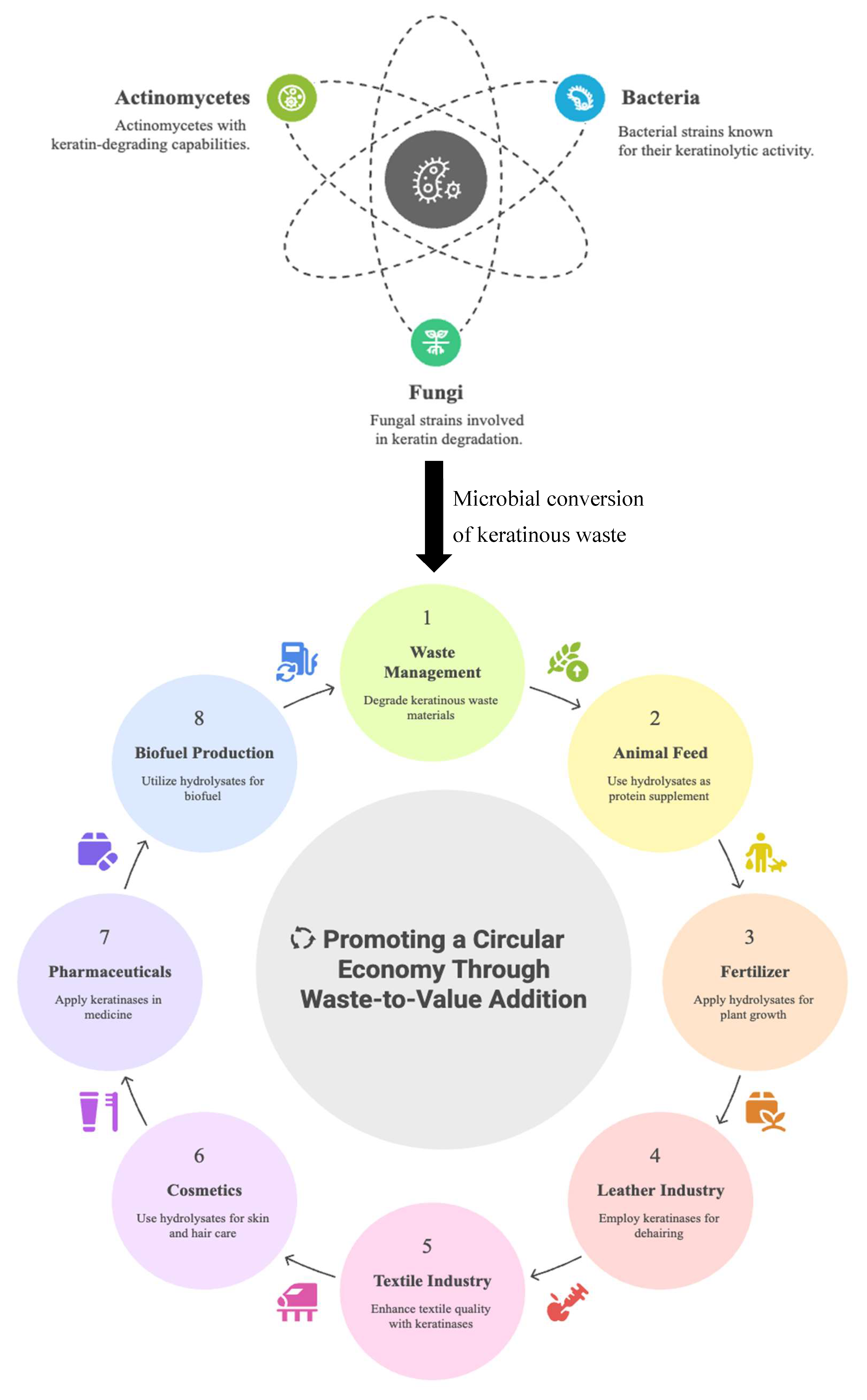 Microorganisms 13 02270 g003 Microorganisms 13 02270 g003