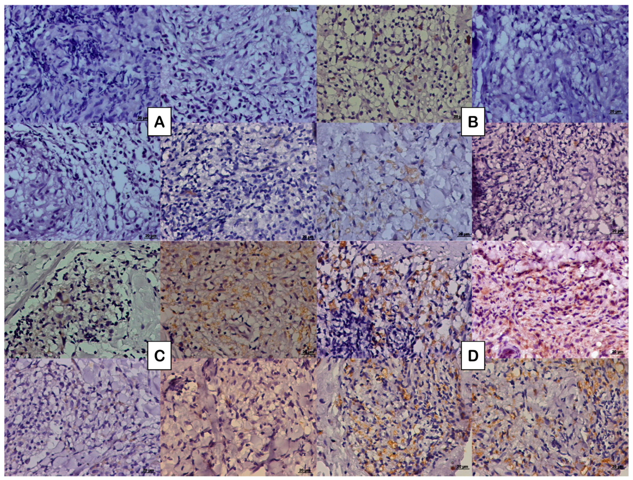 Microorganisms 13 02271 g001