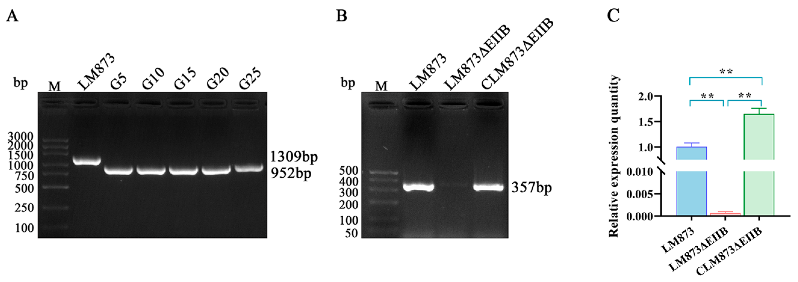 Microorganisms 13 02274 g001