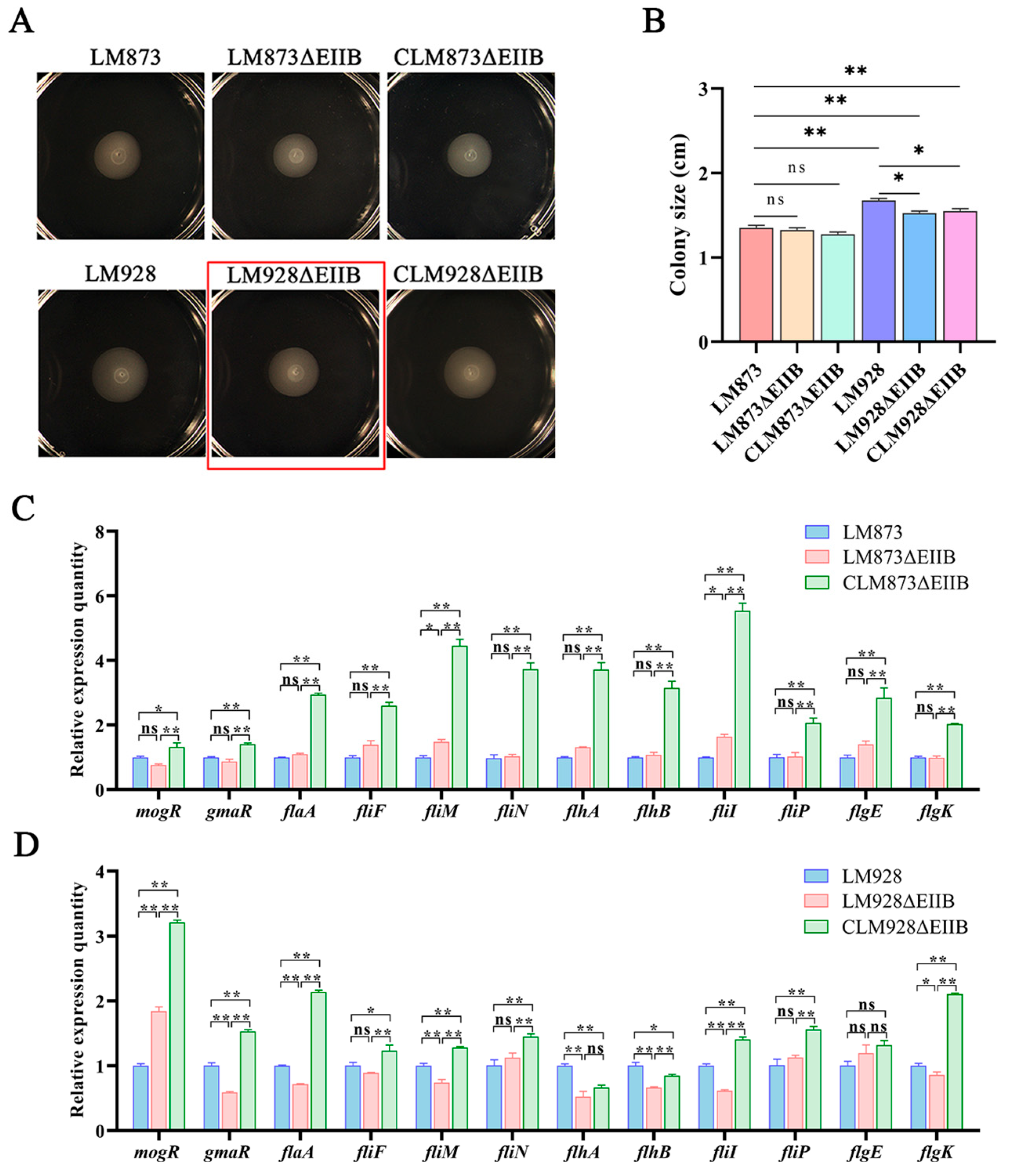 Microorganisms 13 02274 g006