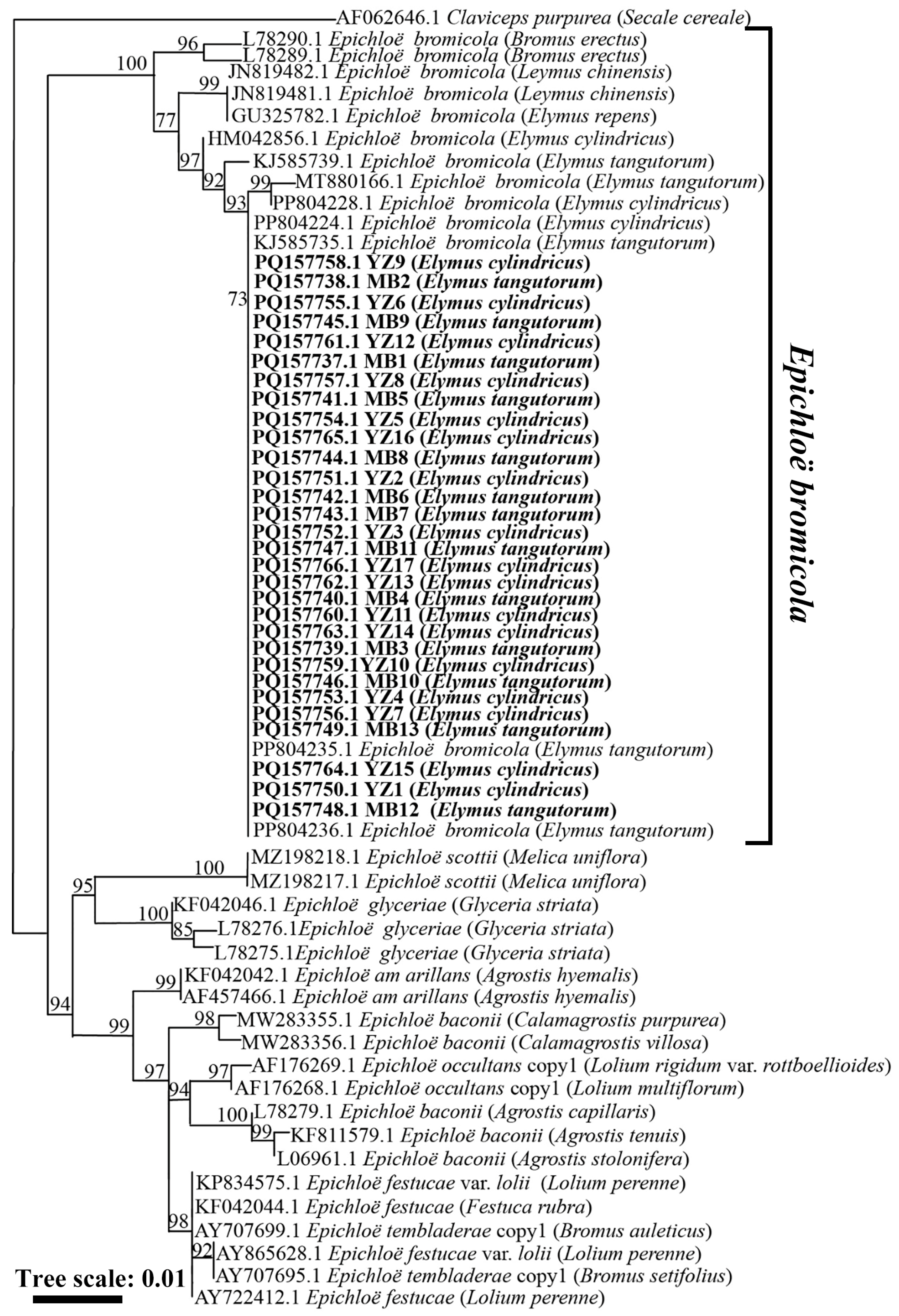 Microorganisms 13 02275 g002