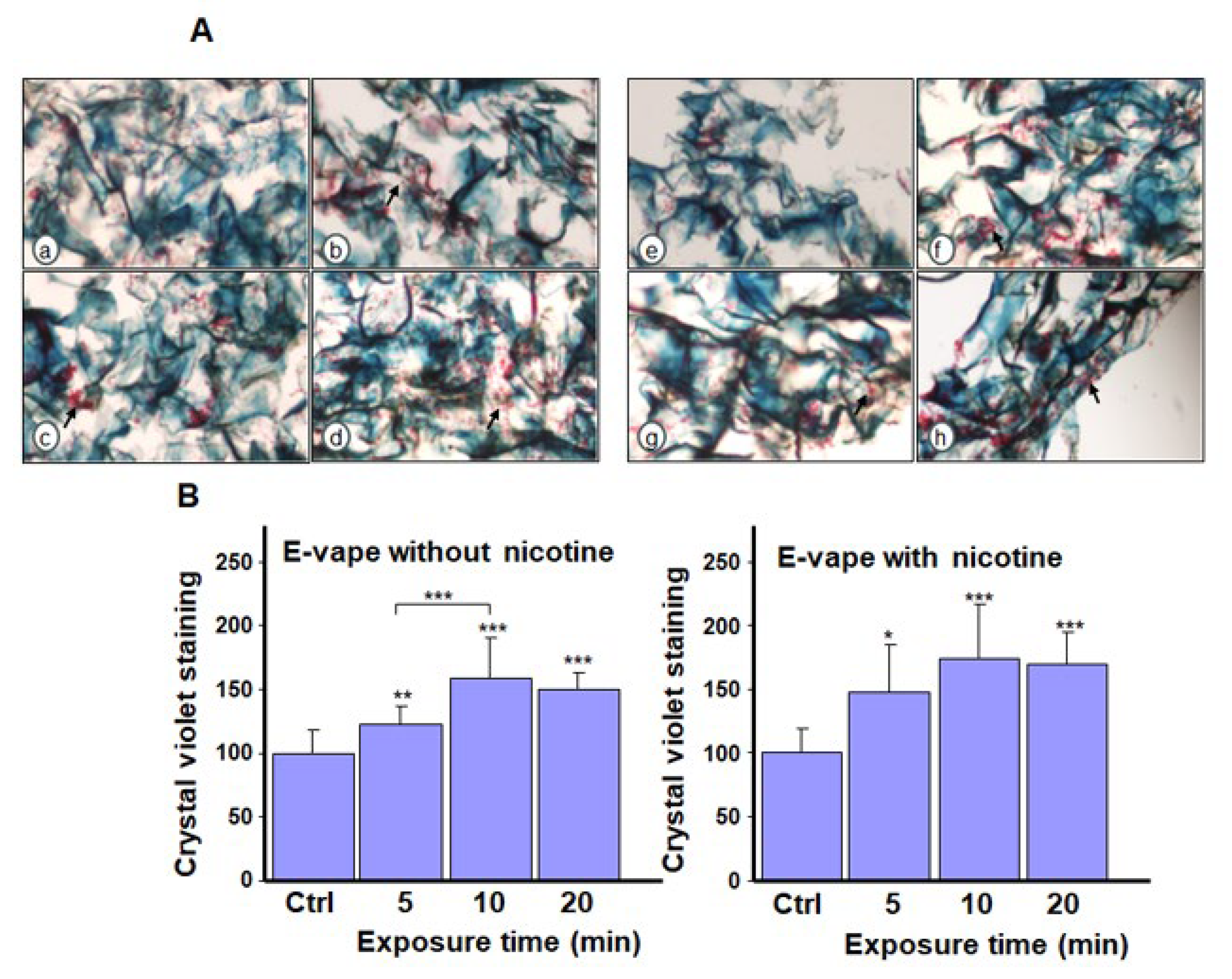 Microorganisms 13 02278 g004