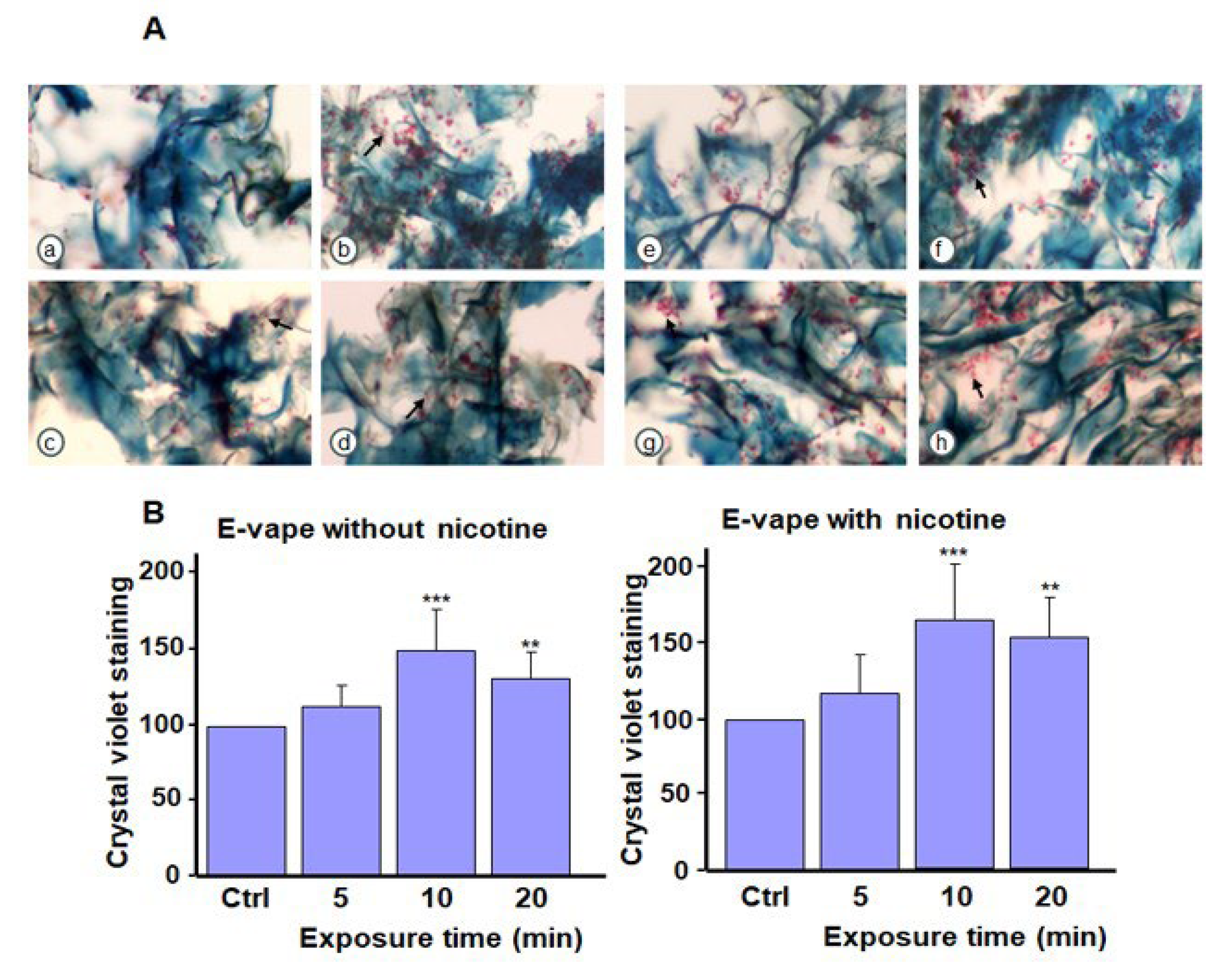 Microorganisms 13 02278 g005