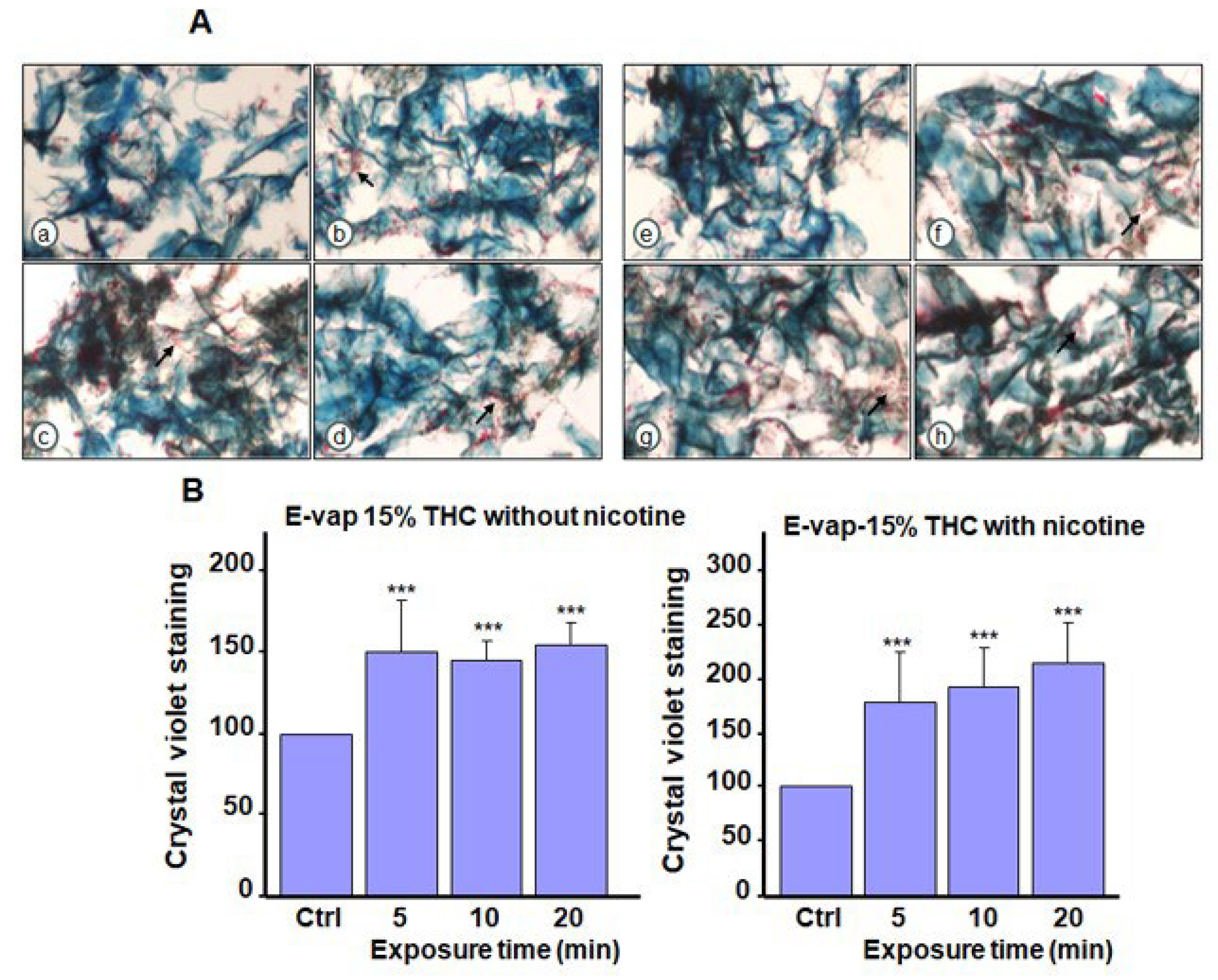 Microorganisms 13 02278 g006