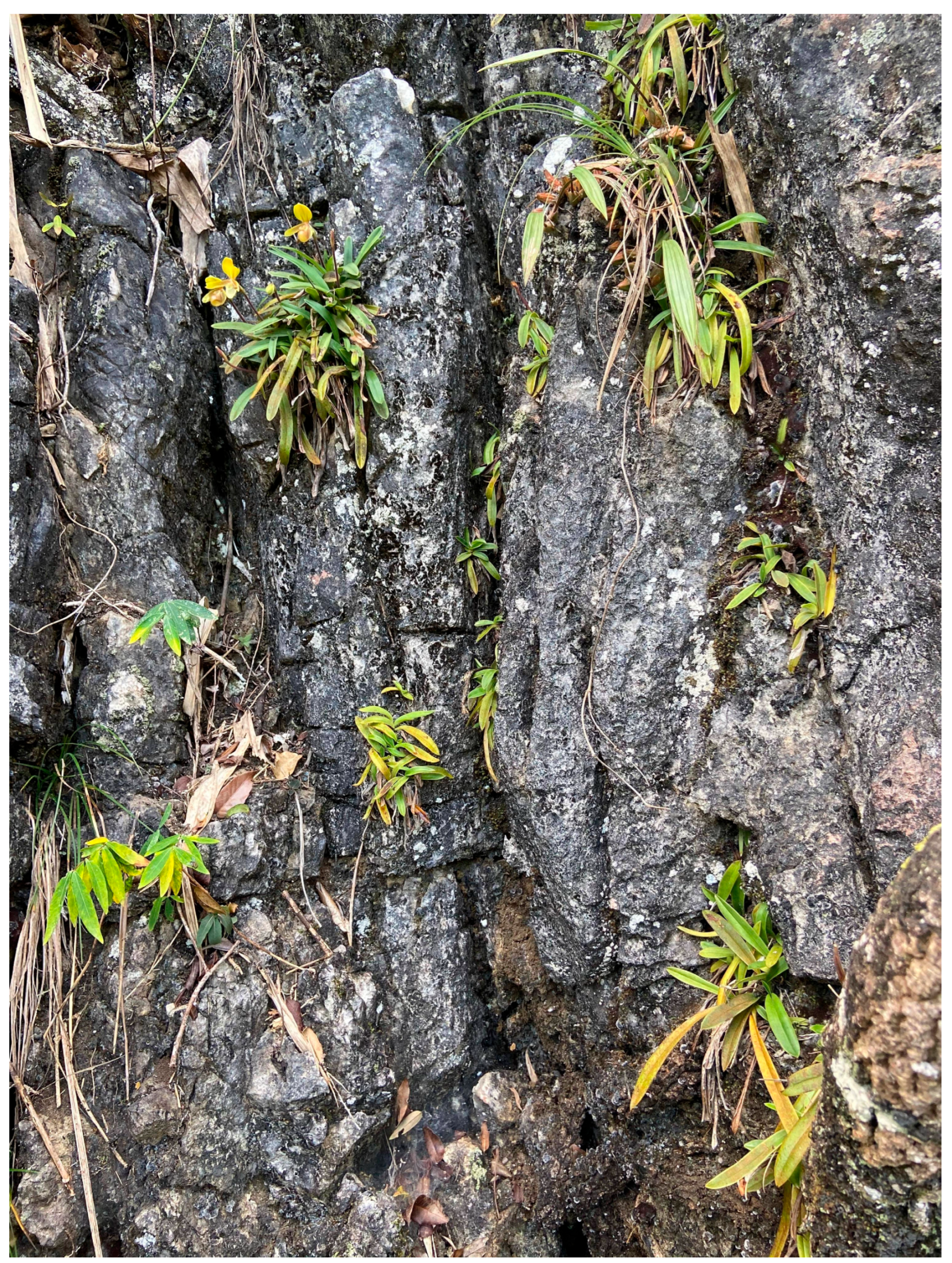 Microorganisms 13 02282 g001