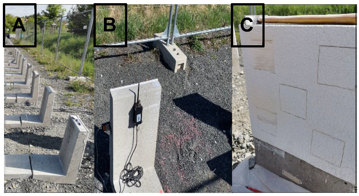 Microorganisms 13 02284 g001