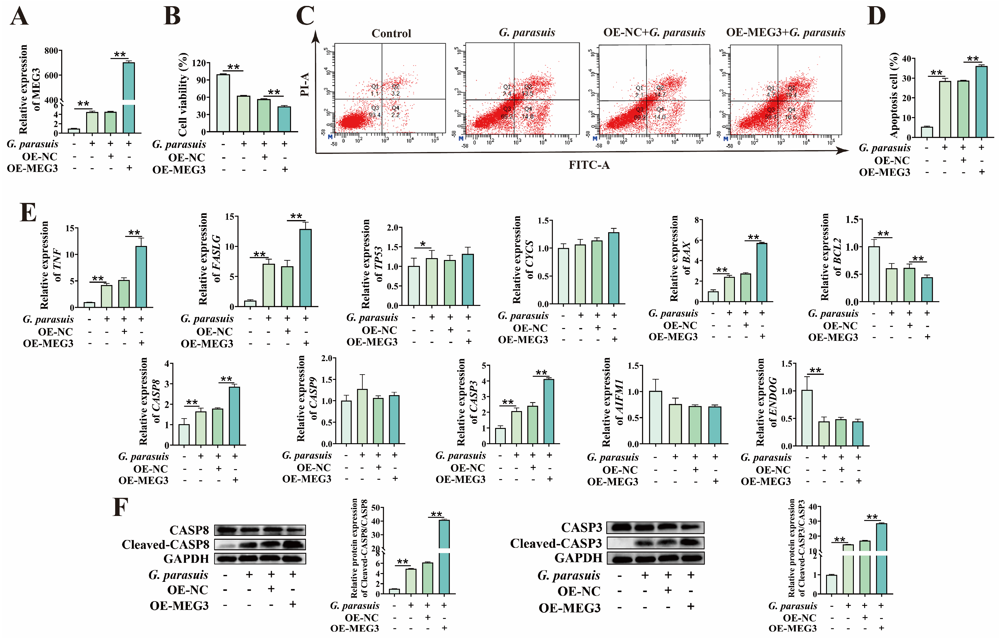 Microorganisms 13 02287 g001
