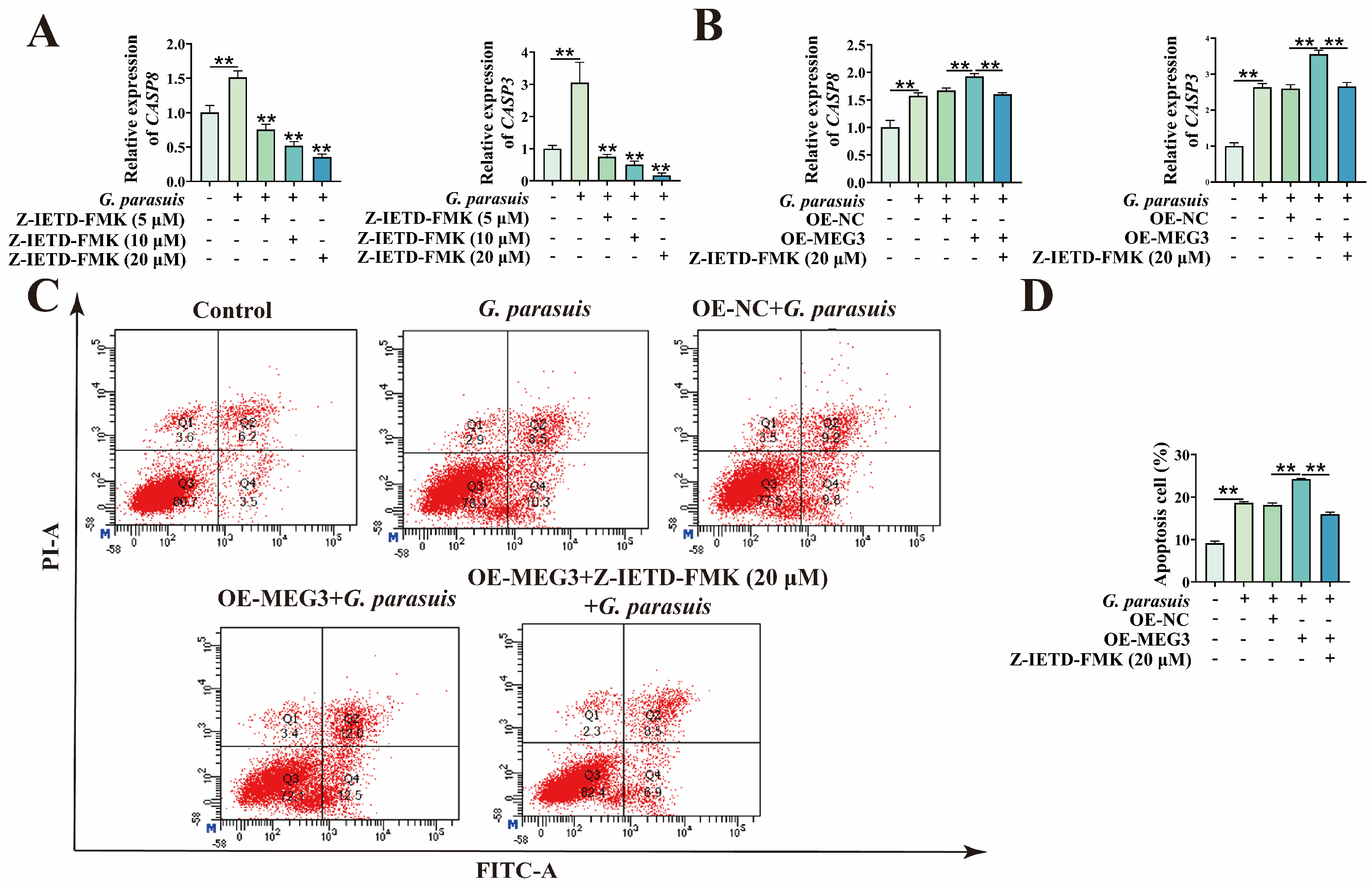 Microorganisms 13 02287 g002