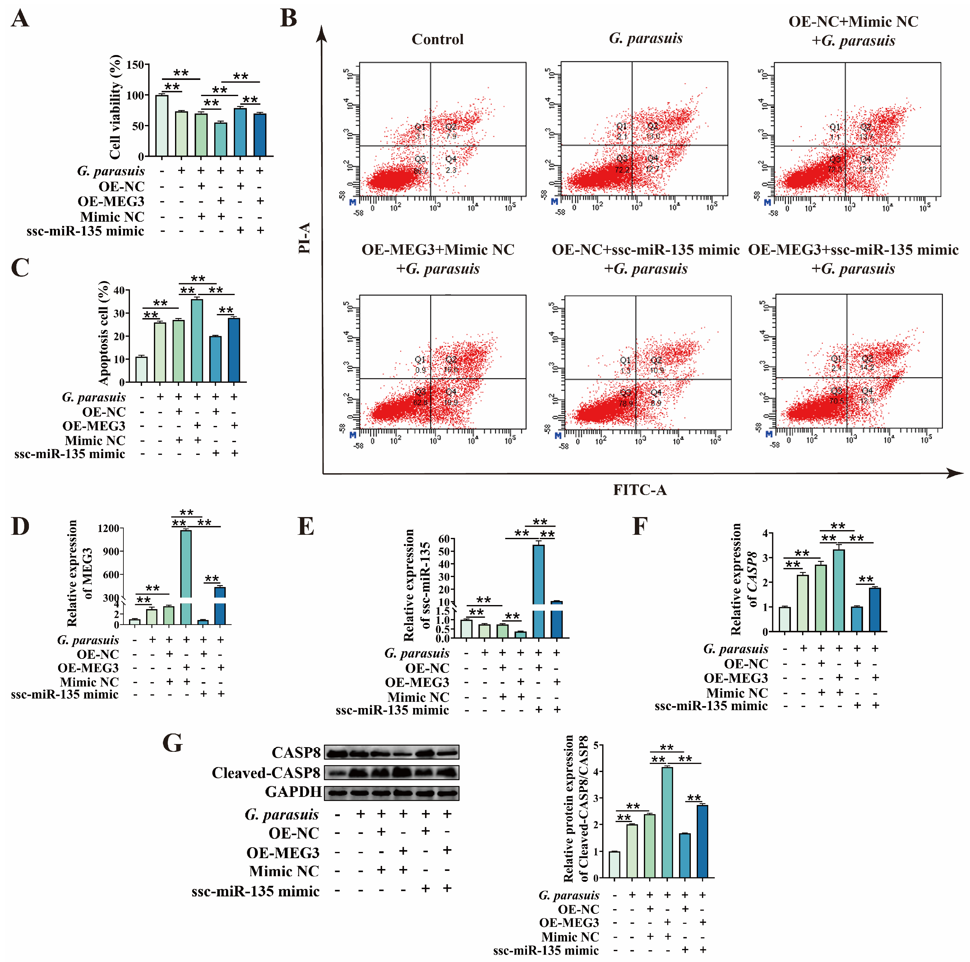 Microorganisms 13 02287 g006