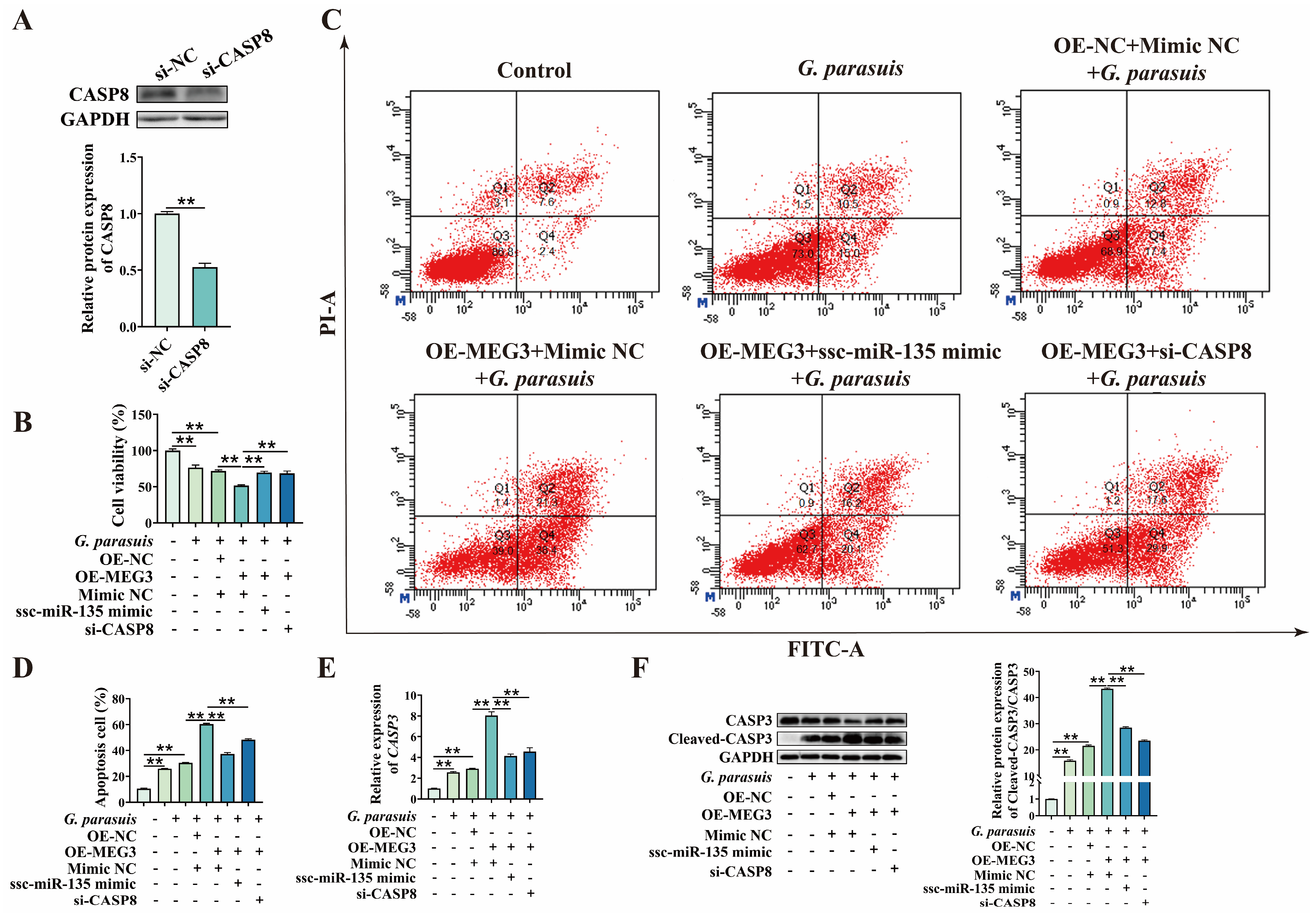 Microorganisms 13 02287 g007