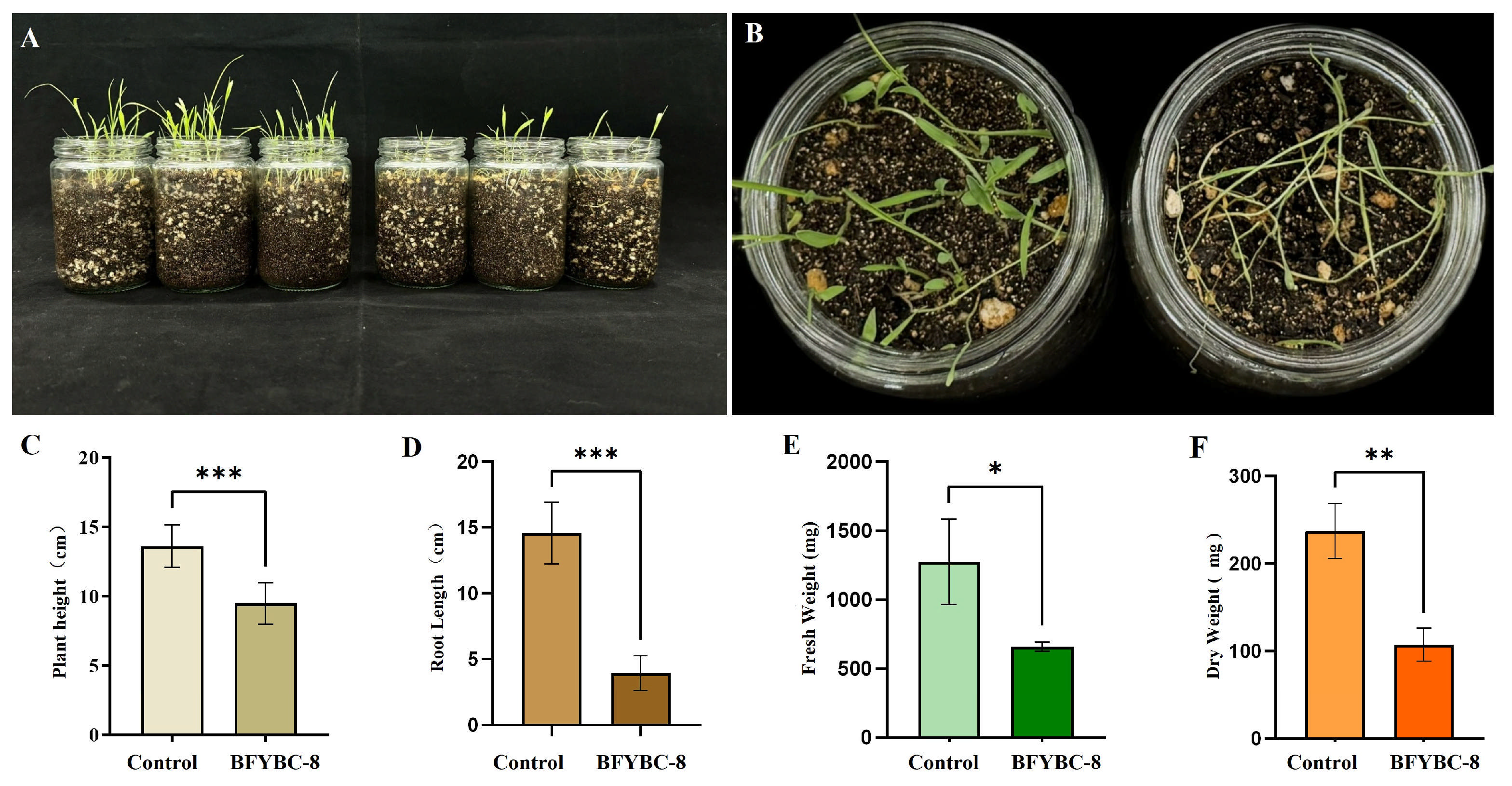Microorganisms 13 02293 g003 Microorganisms 13 02293 g003