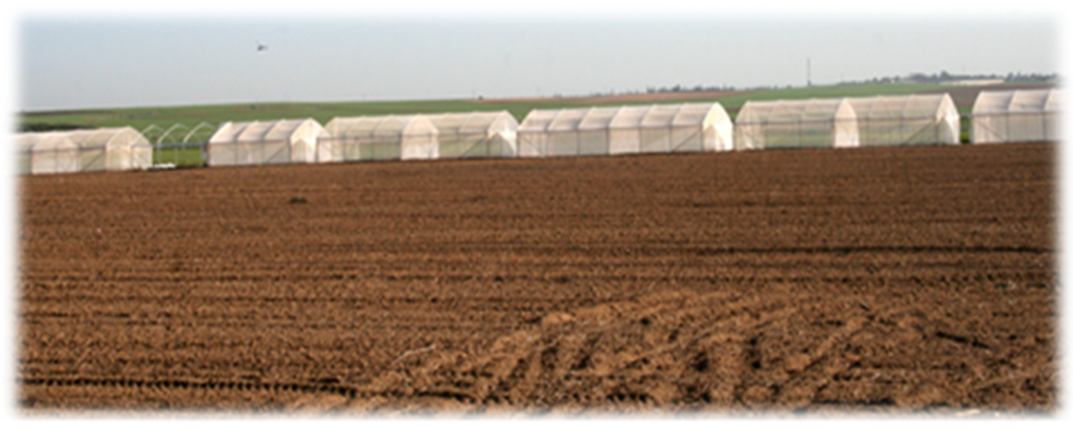 Microorganisms 13 02296 g001