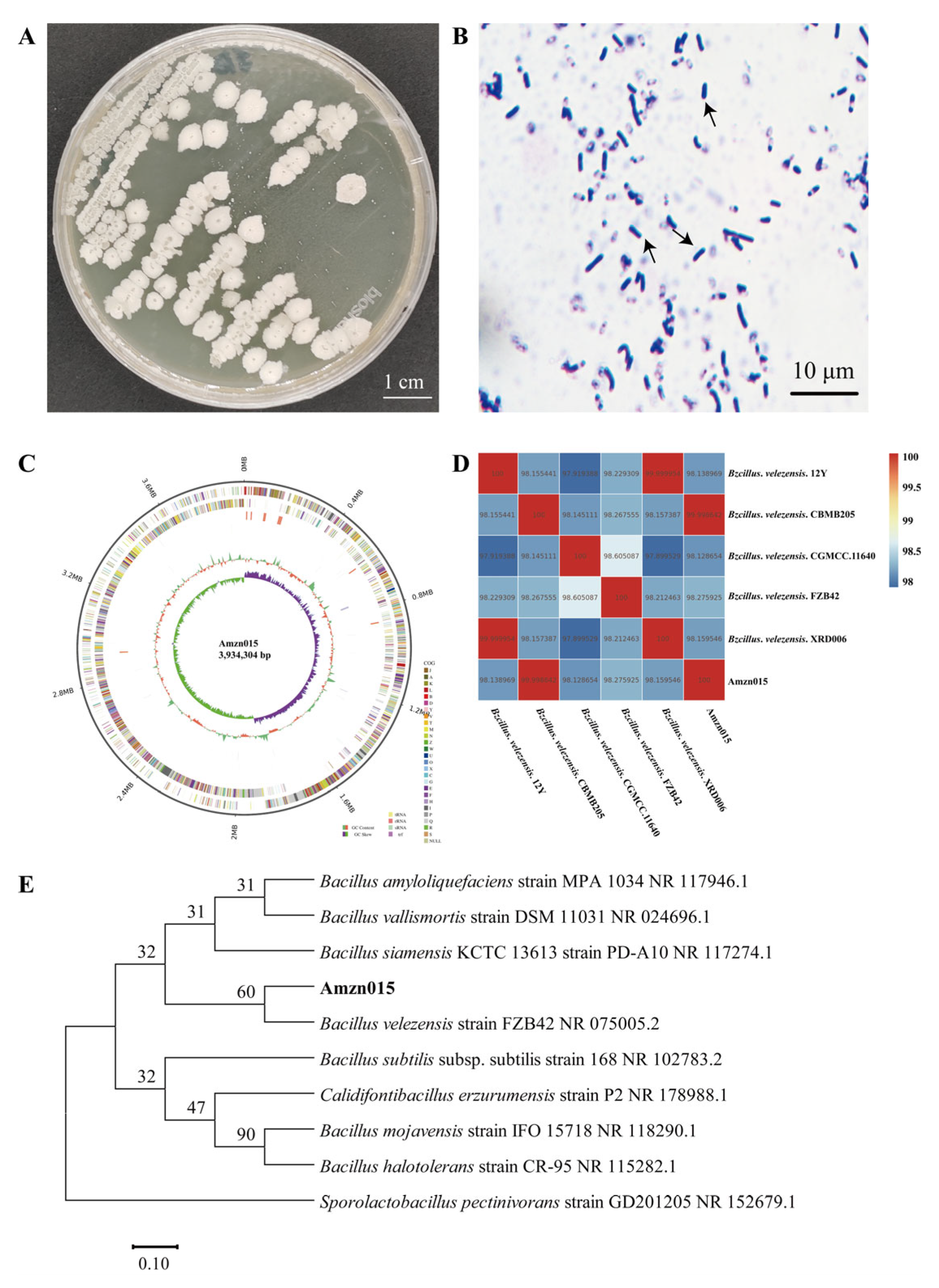 Microorganisms 13 02300 g003