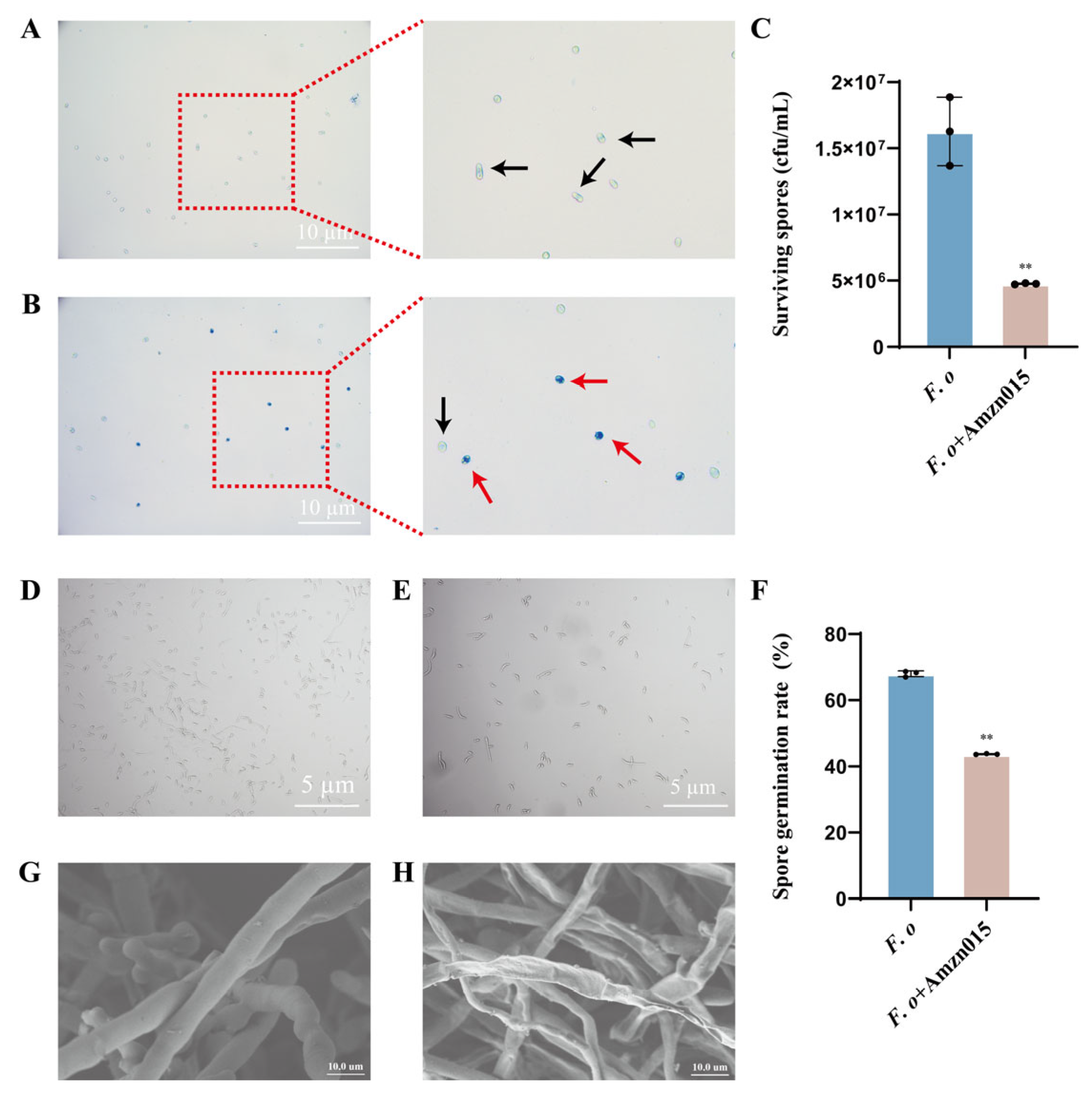 Microorganisms 13 02300 g004