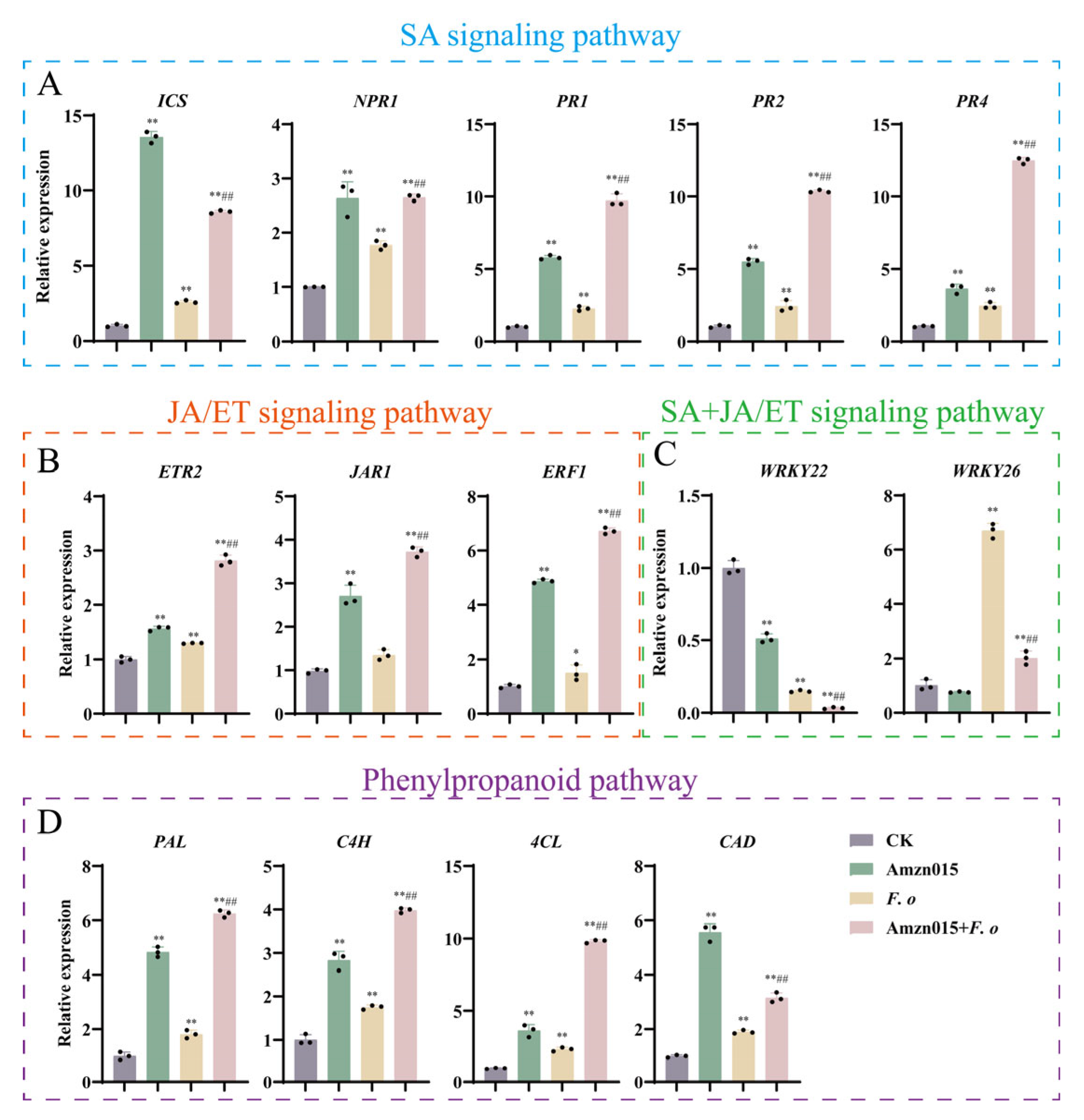 Microorganisms 13 02300 g008