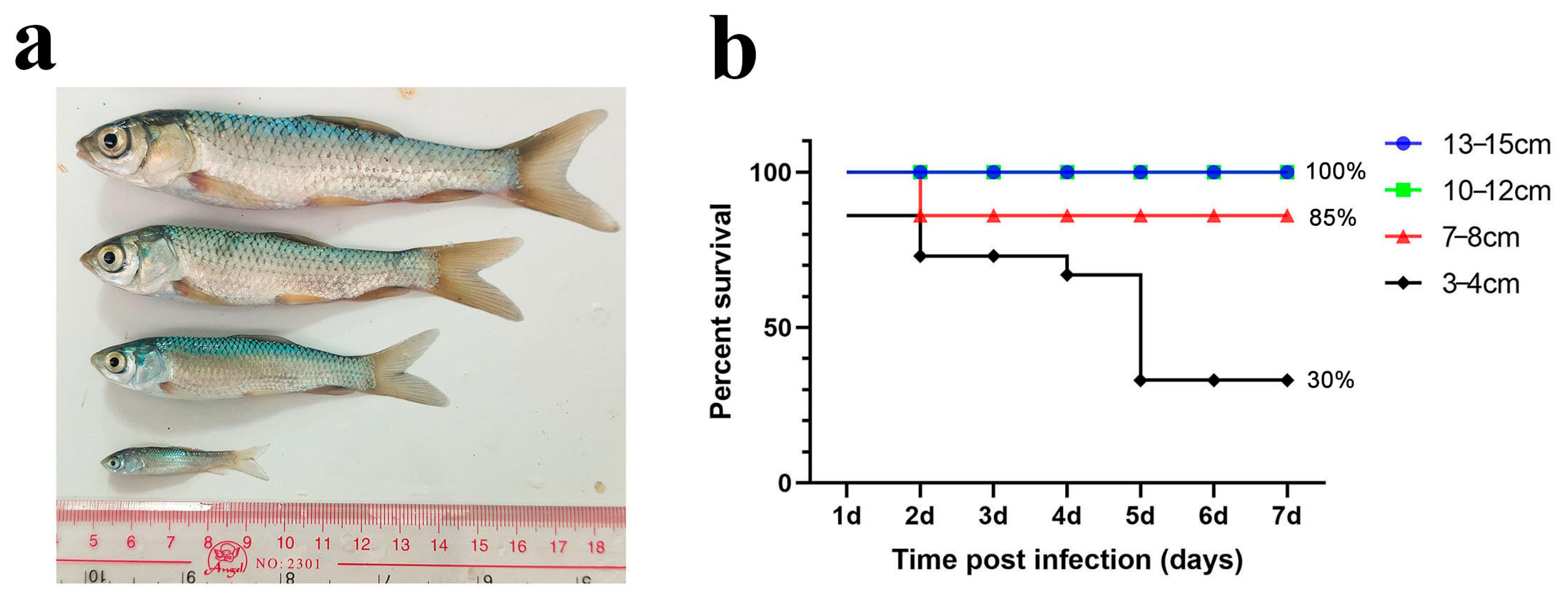 Microorganisms 13 02318 g001