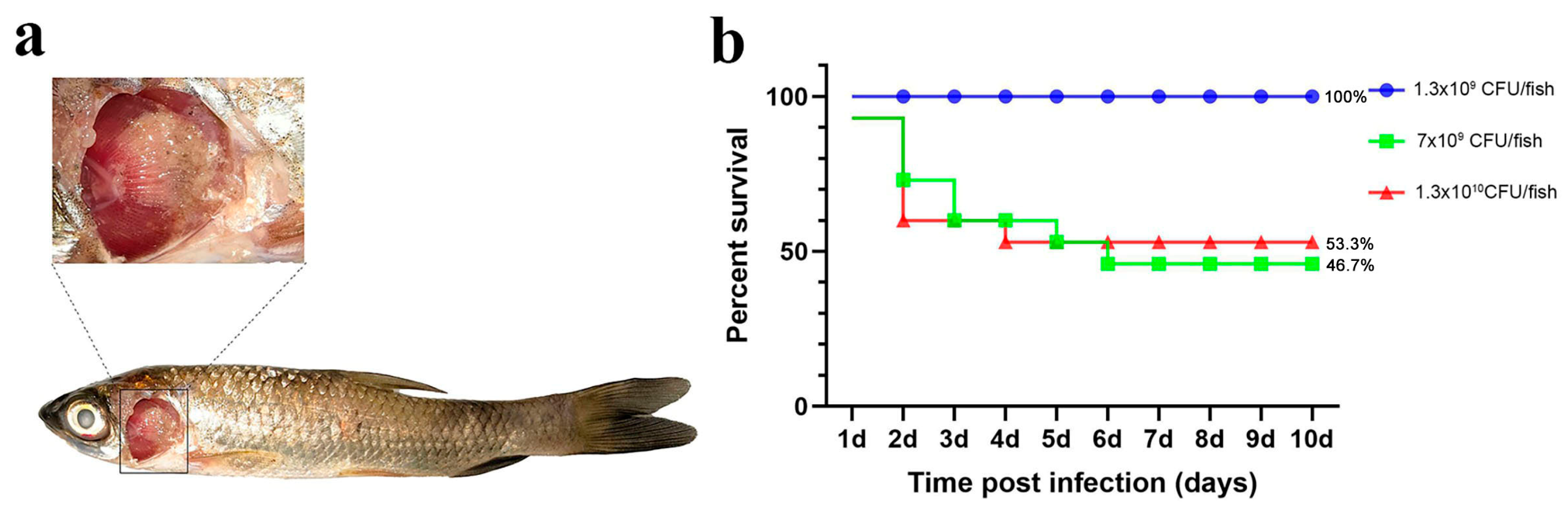 Microorganisms 13 02318 g002