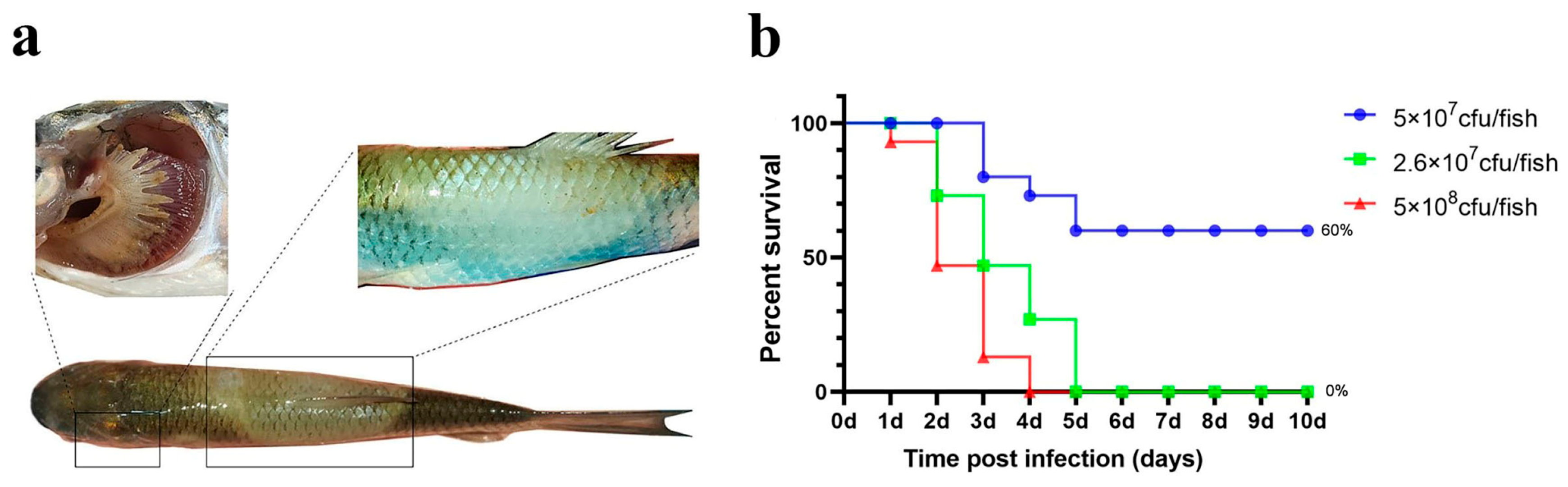 Microorganisms 13 02318 g005
