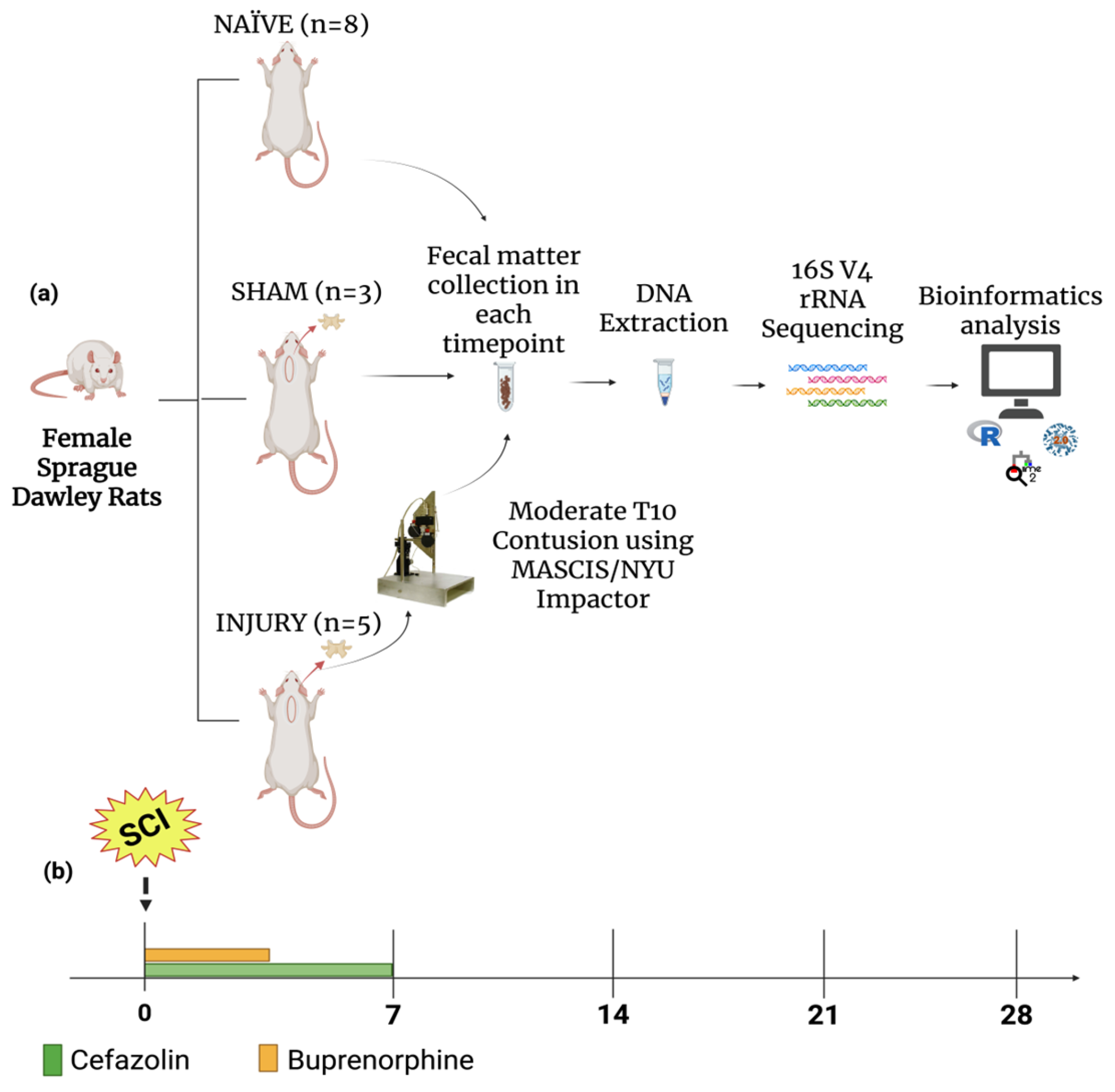 Microorganisms 13 02324 g001