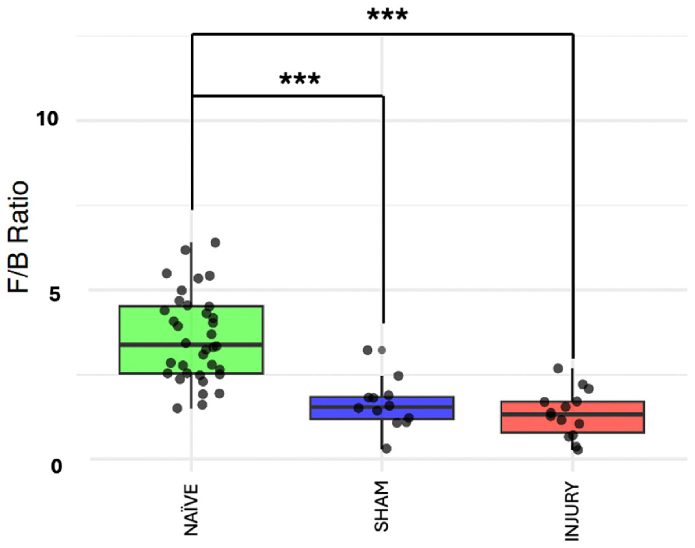 Microorganisms 13 02324 g004