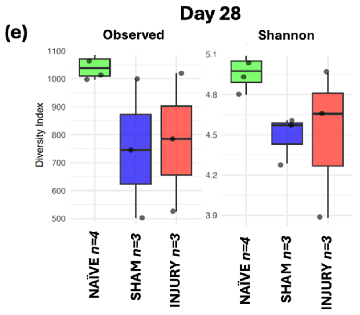 Microorganisms 13 02324 g006b