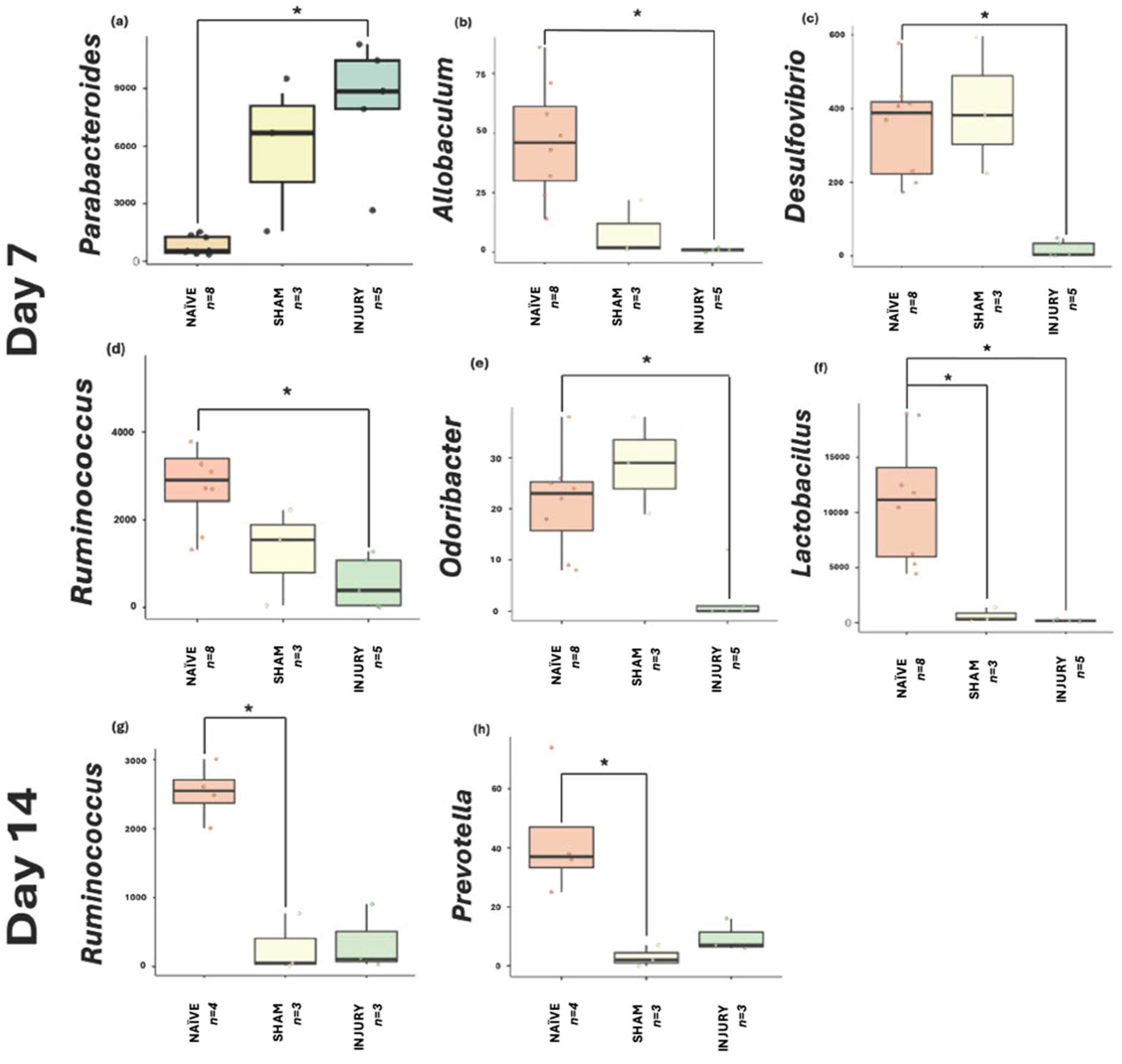 Microorganisms 13 02324 g008