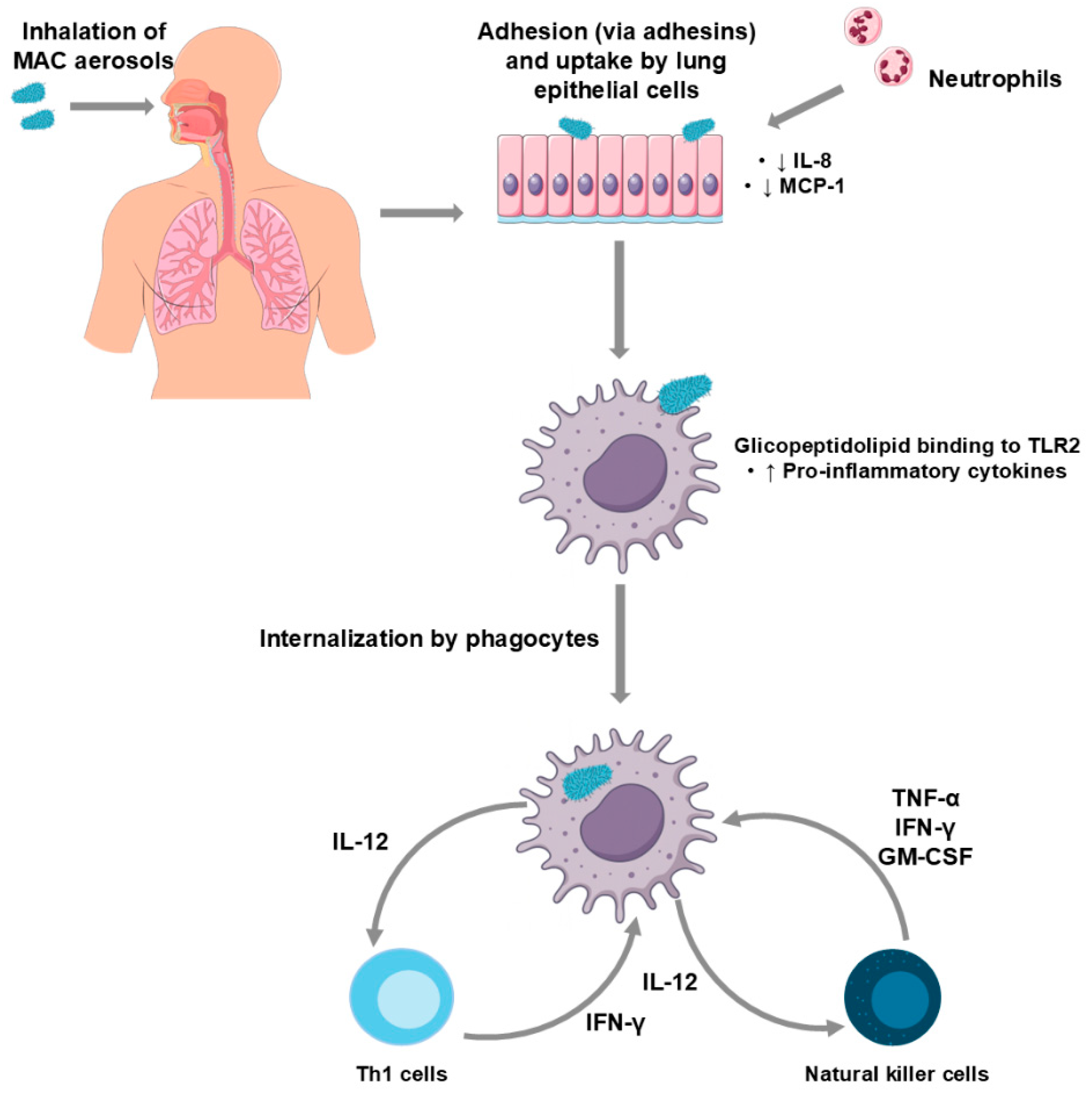 Microorganisms 13 02329 g002 Microorganisms 13 02329 g002