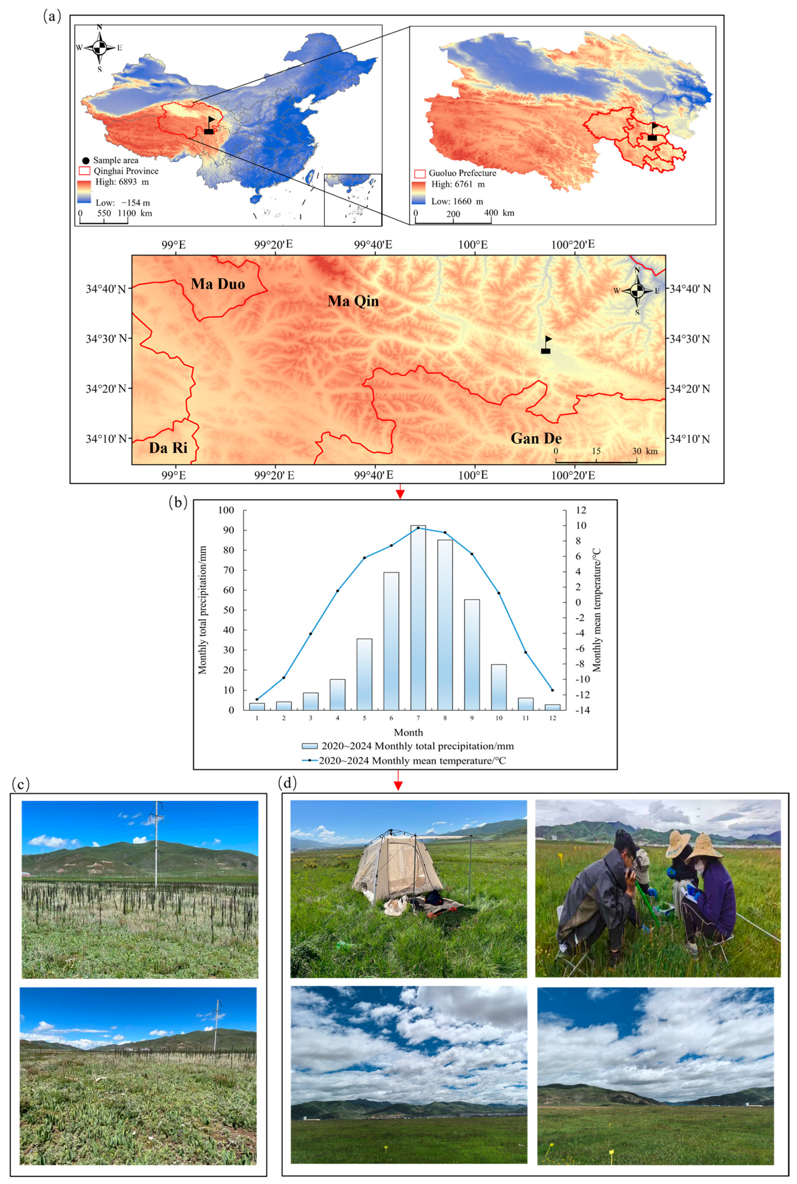 Microorganisms 13 02341 g001 Microorganisms 13 02341 g001