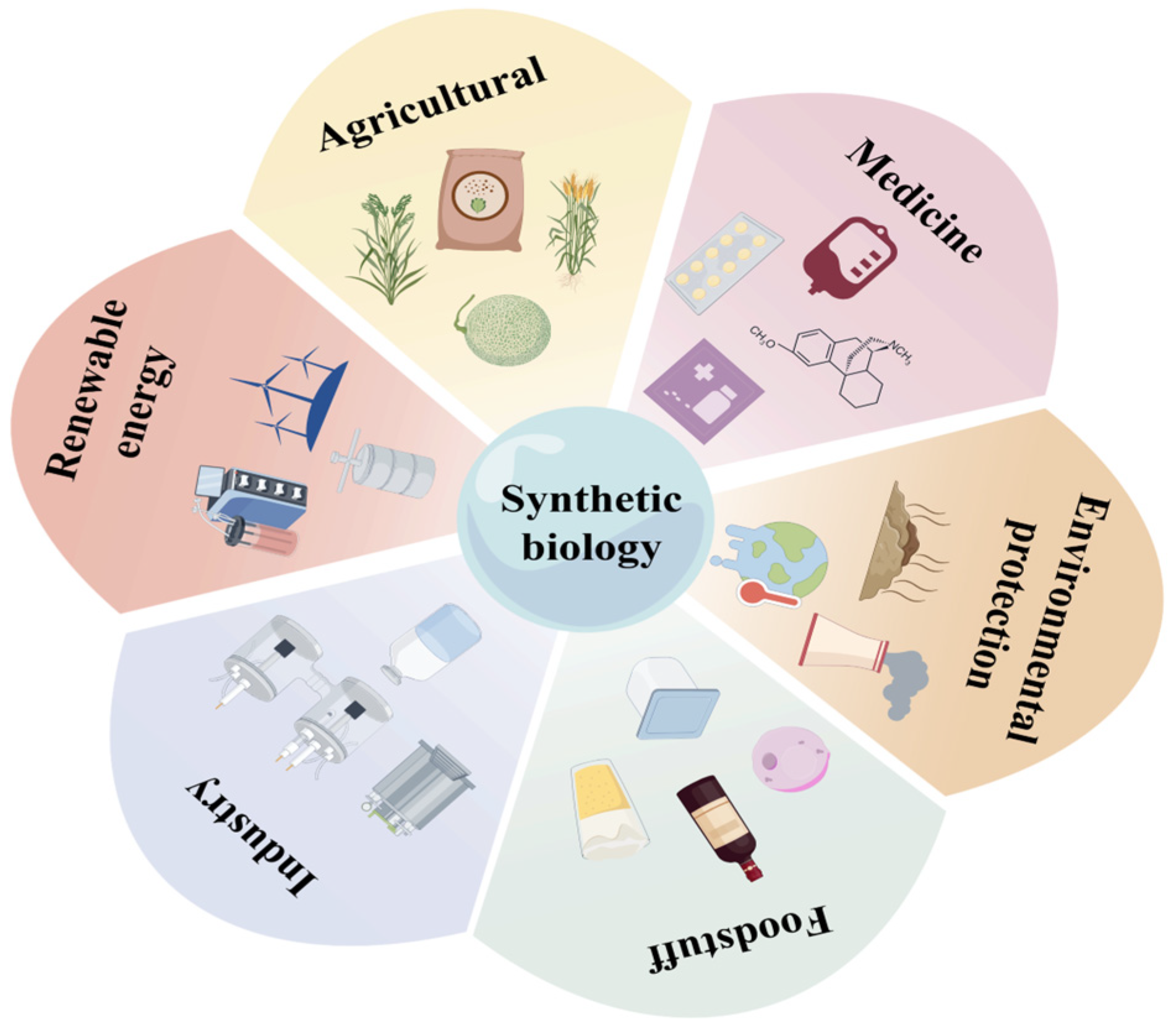 Microorganisms 13 02343 g001