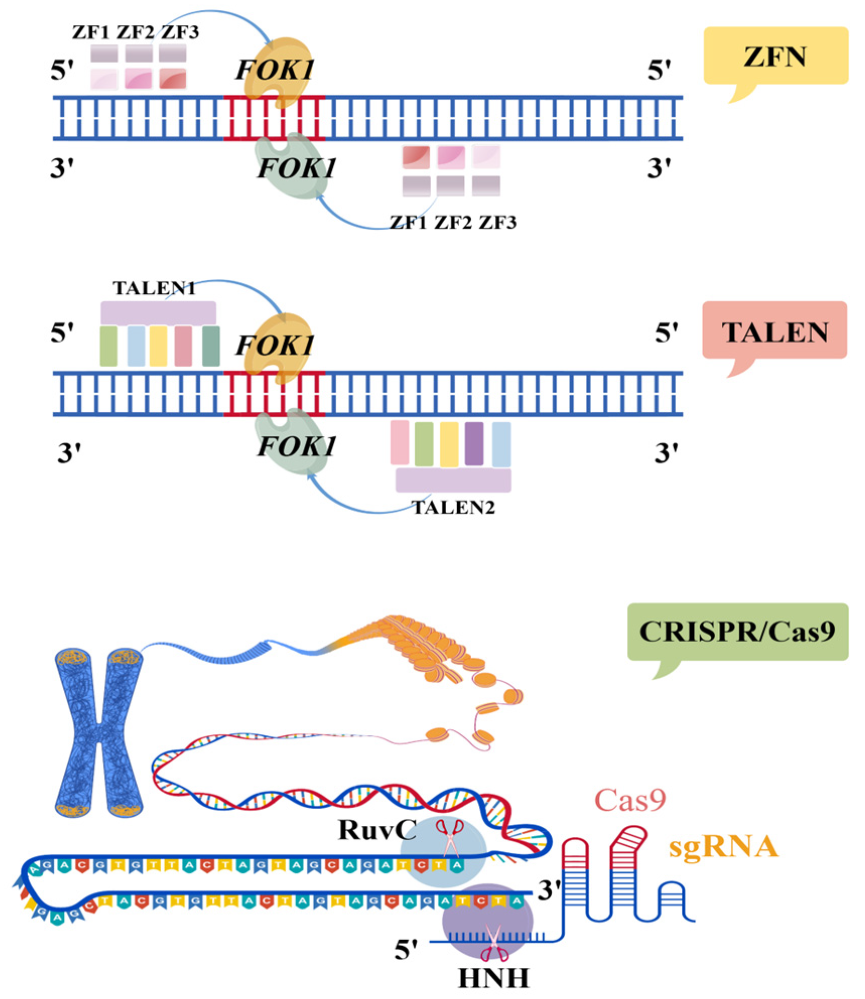 Microorganisms 13 02343 g002