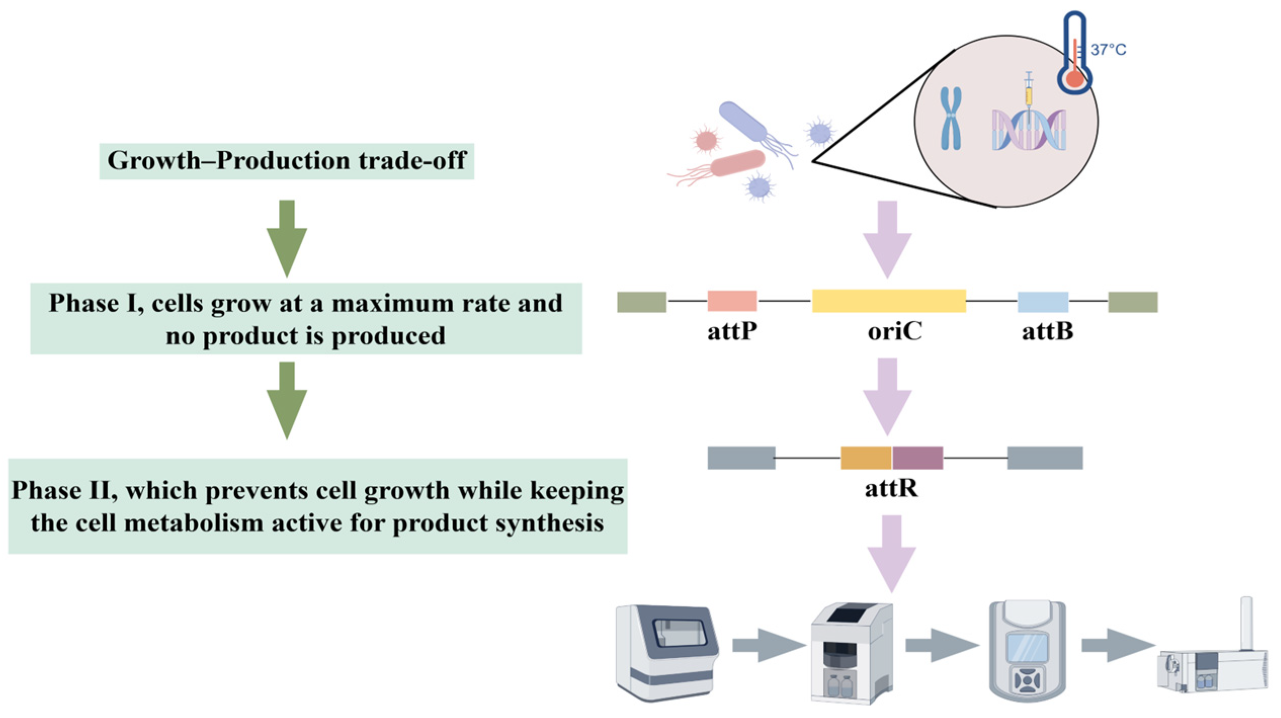 Microorganisms 13 02343 g003