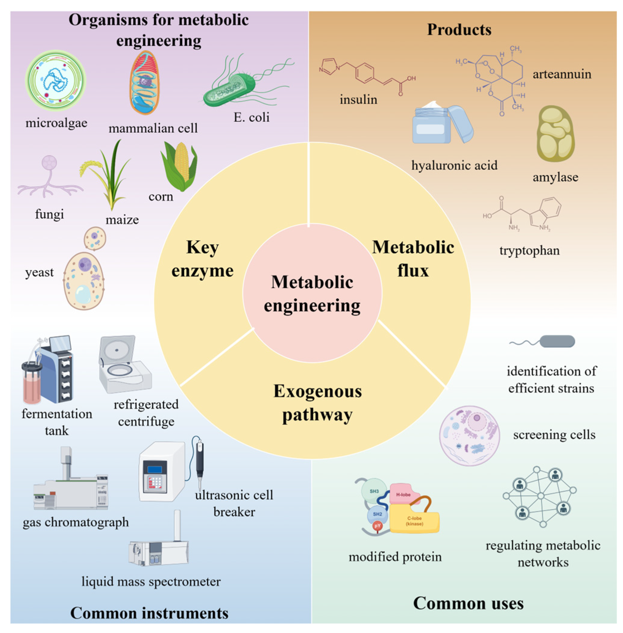 Microorganisms 13 02343 g004