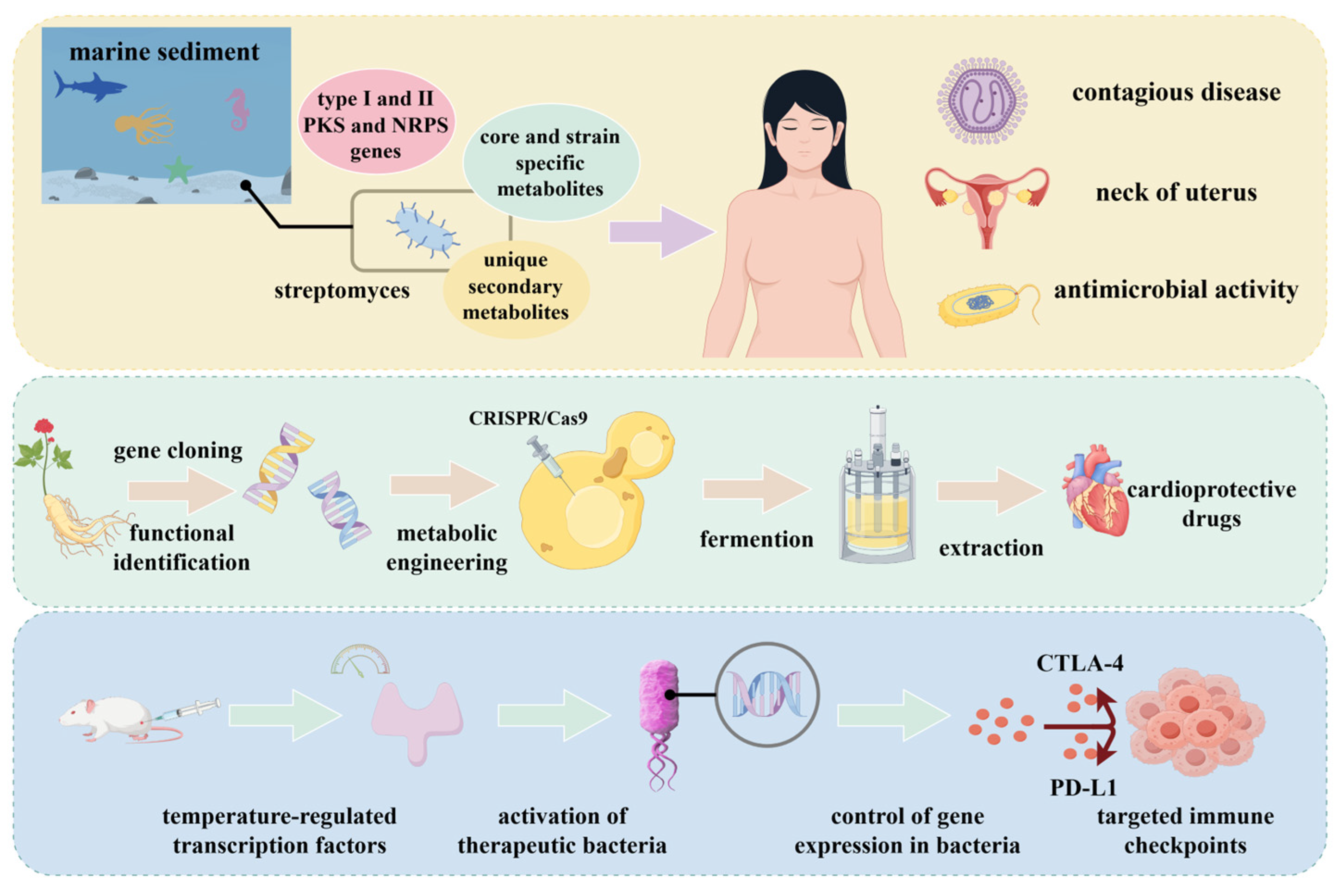Microorganisms 13 02343 g005