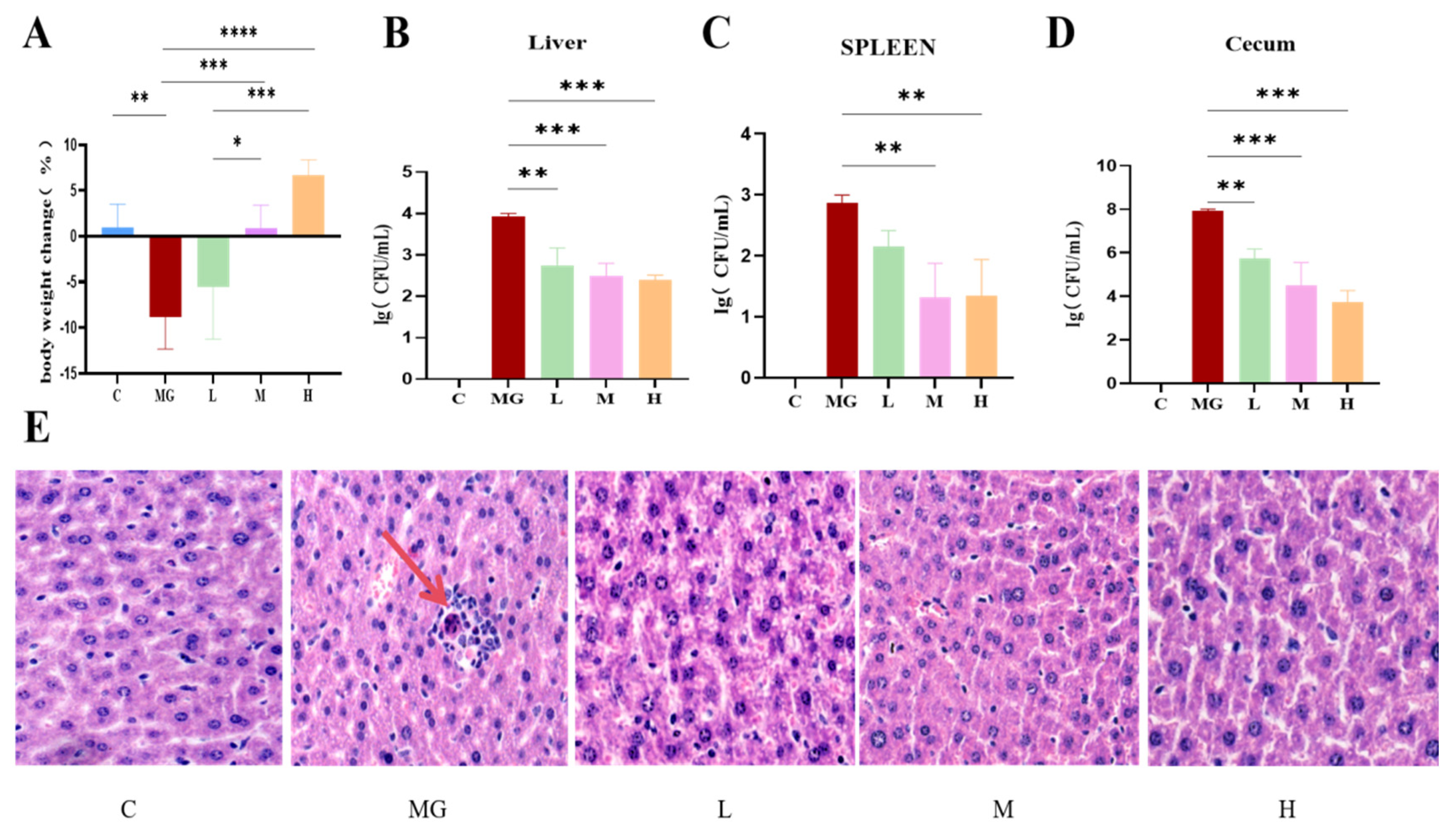 Microorganisms 13 02353 g001
