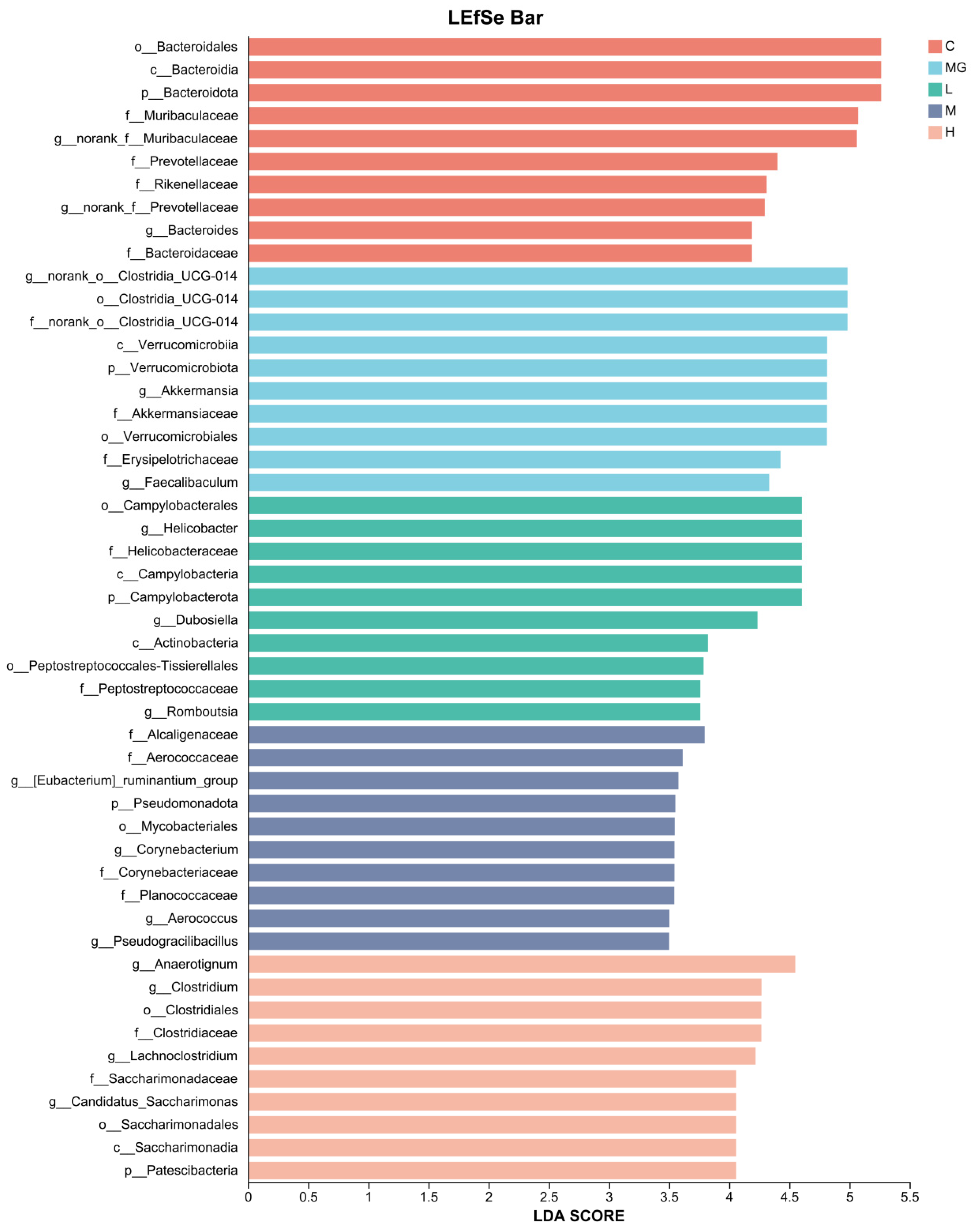 Microorganisms 13 02353 g010