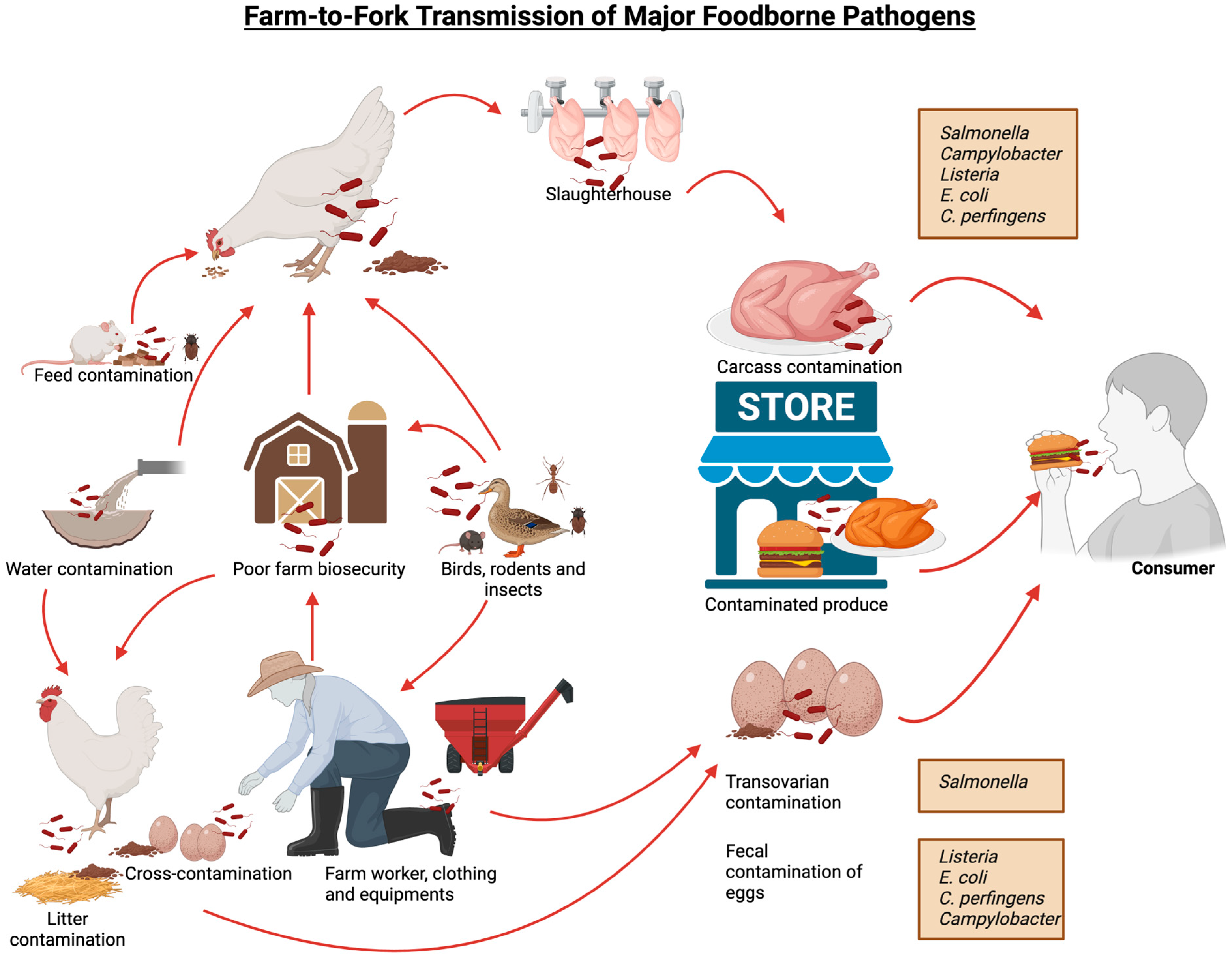 Microorganisms 13 02363 g001