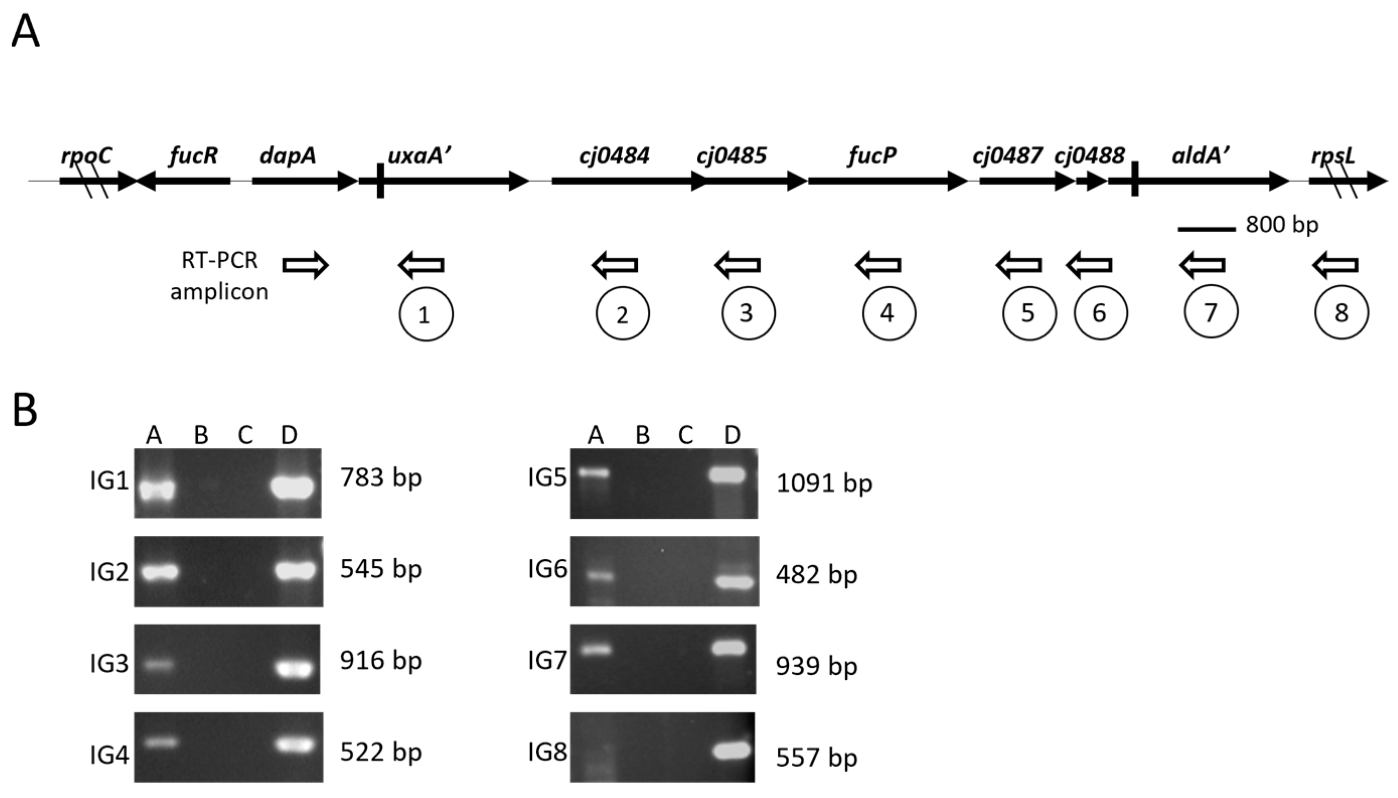 Microorganisms 13 02364 g001