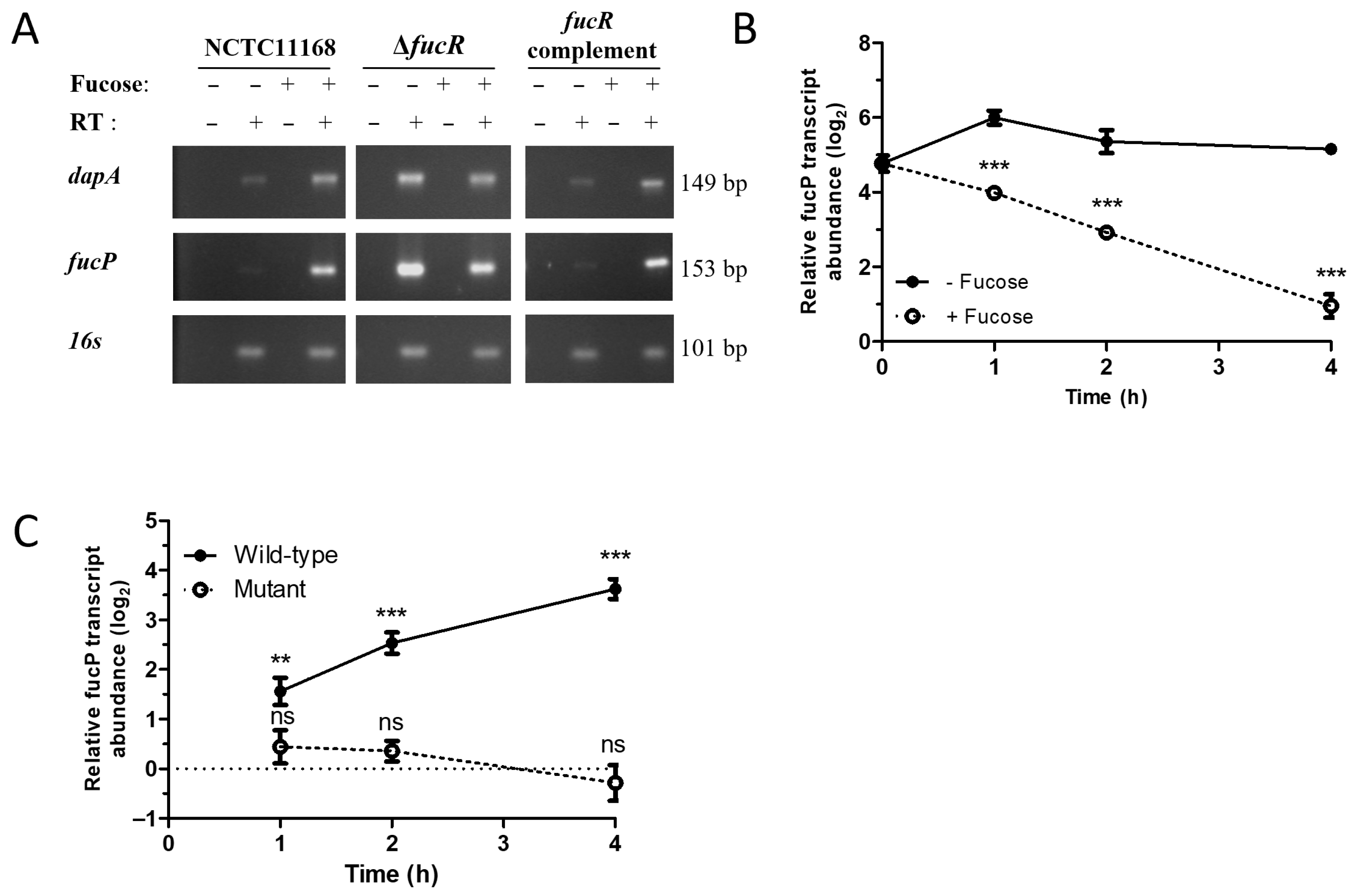 Microorganisms 13 02364 g002