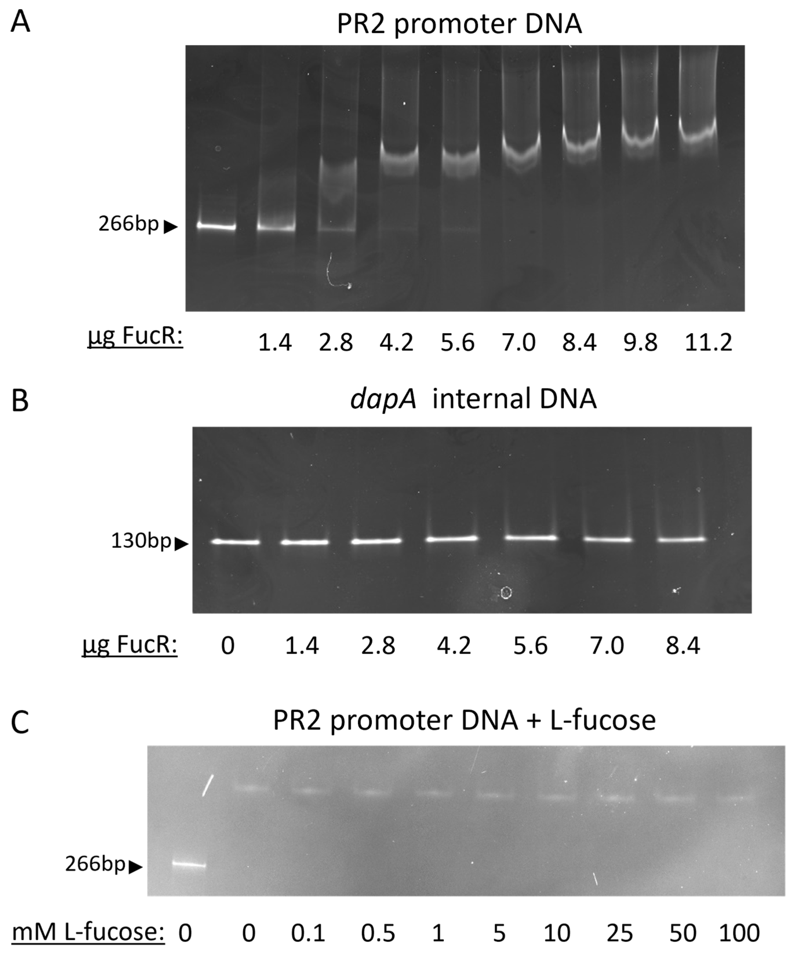 Microorganisms 13 02364 g003