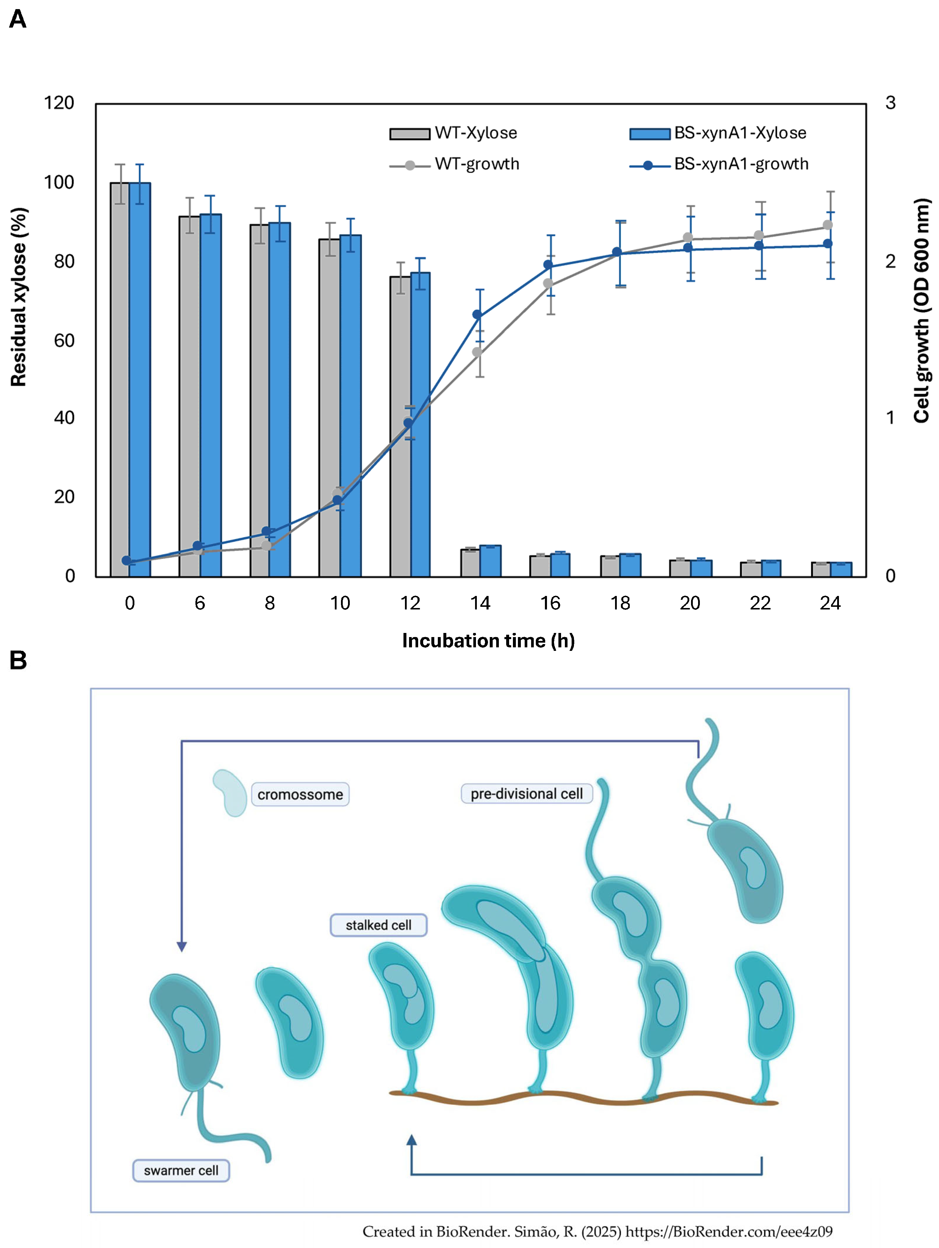 Microorganisms 13 02367 g002