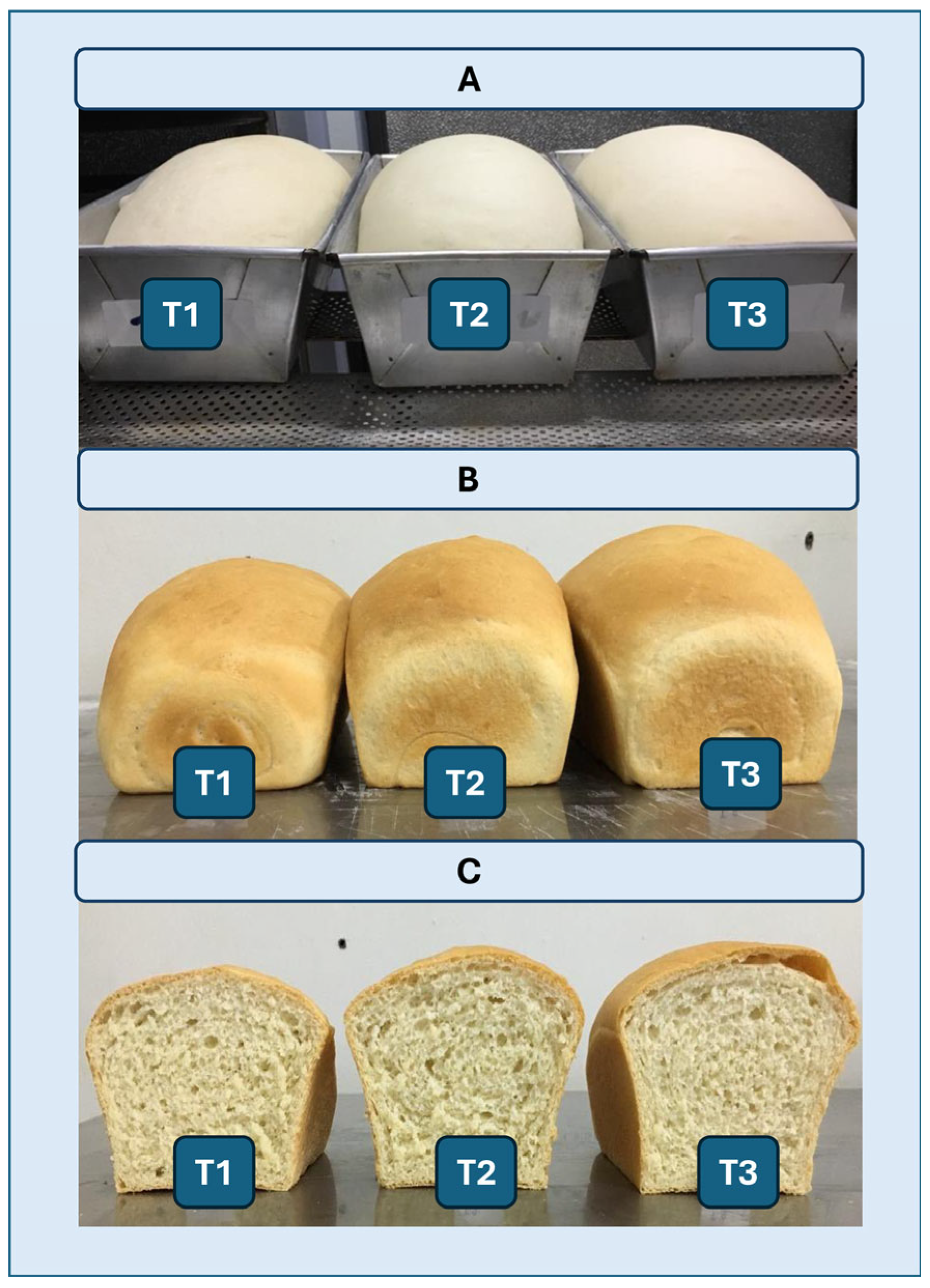 Microorganisms 13 02367 g009