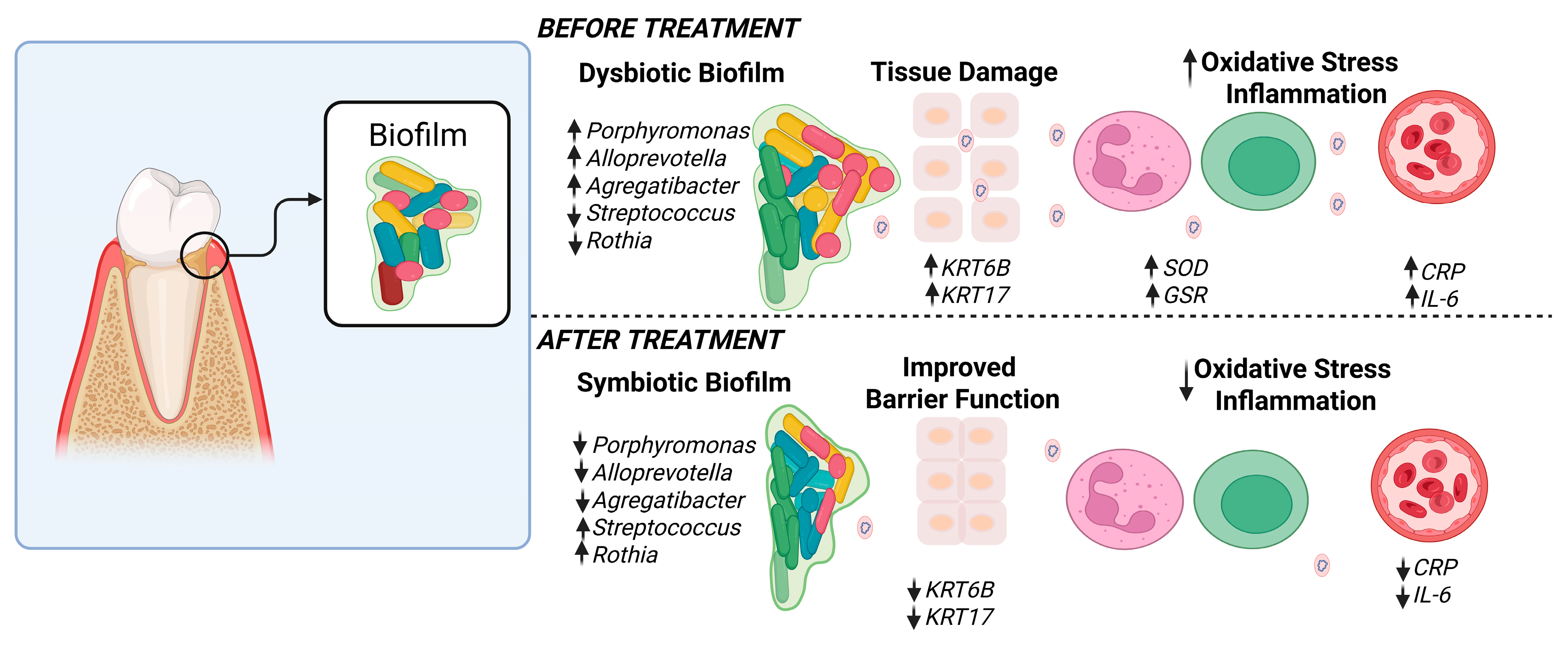 Microorganisms 13 02371 g008