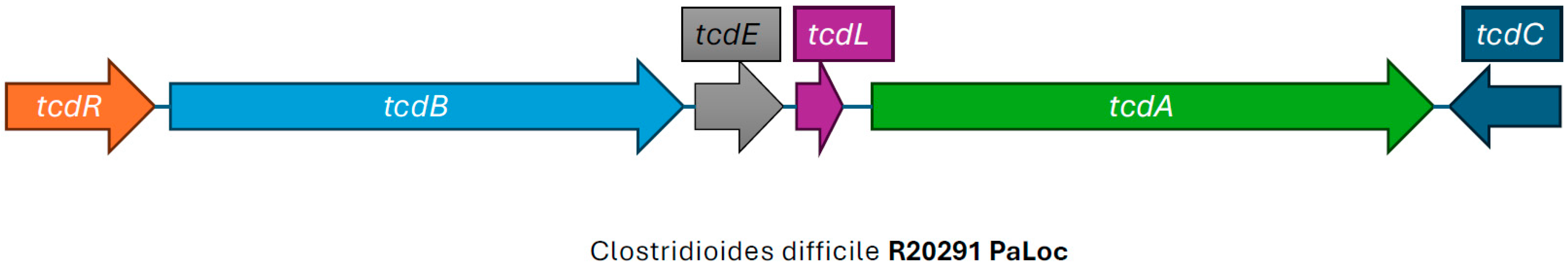 Microorganisms 13 02376 g002