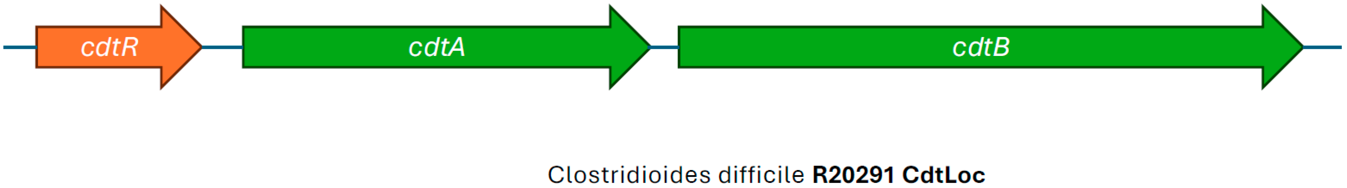 Microorganisms 13 02376 g004