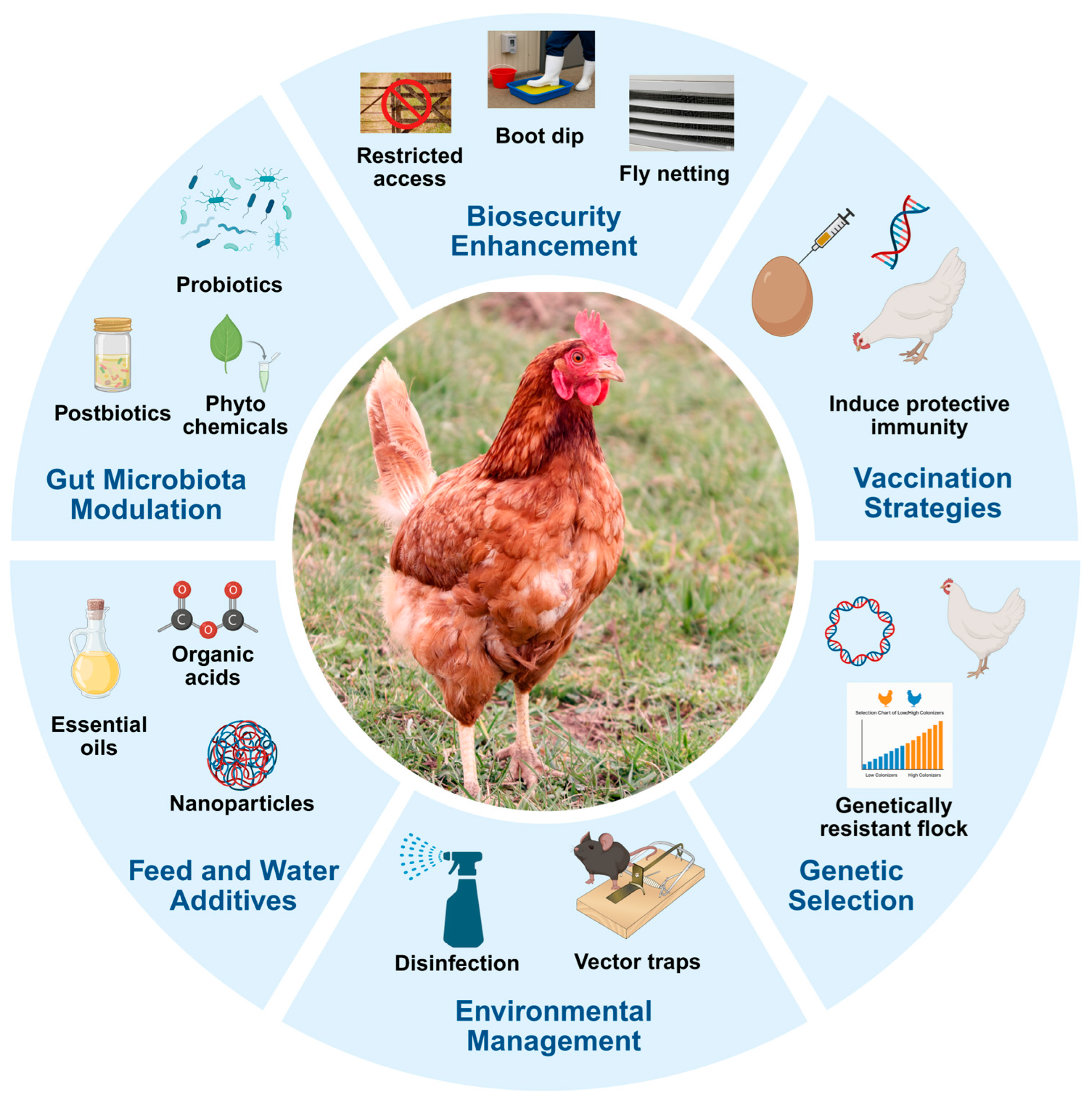 Microorganisms 13 02378 g001
