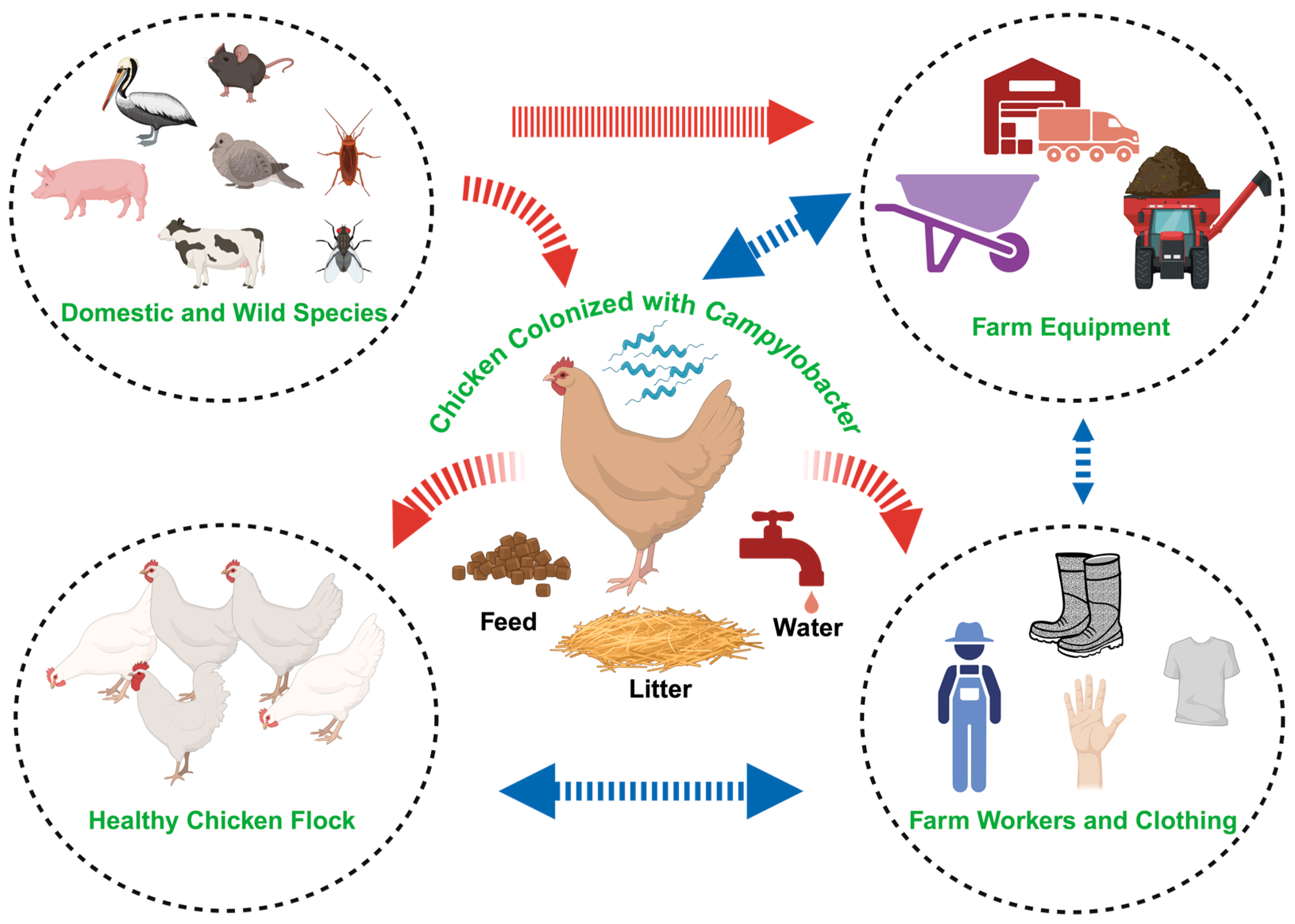 Microorganisms 13 02378 g002