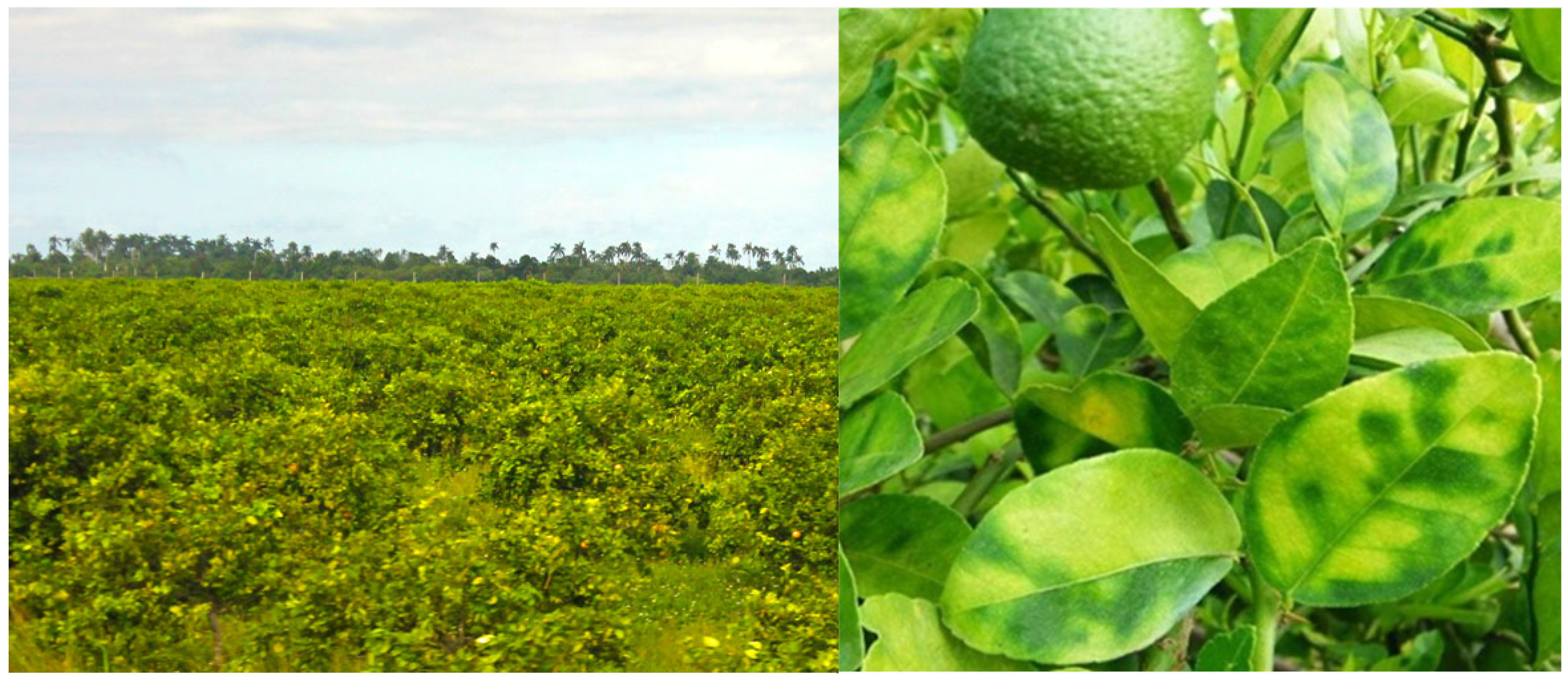 Microorganisms 13 02381 g001